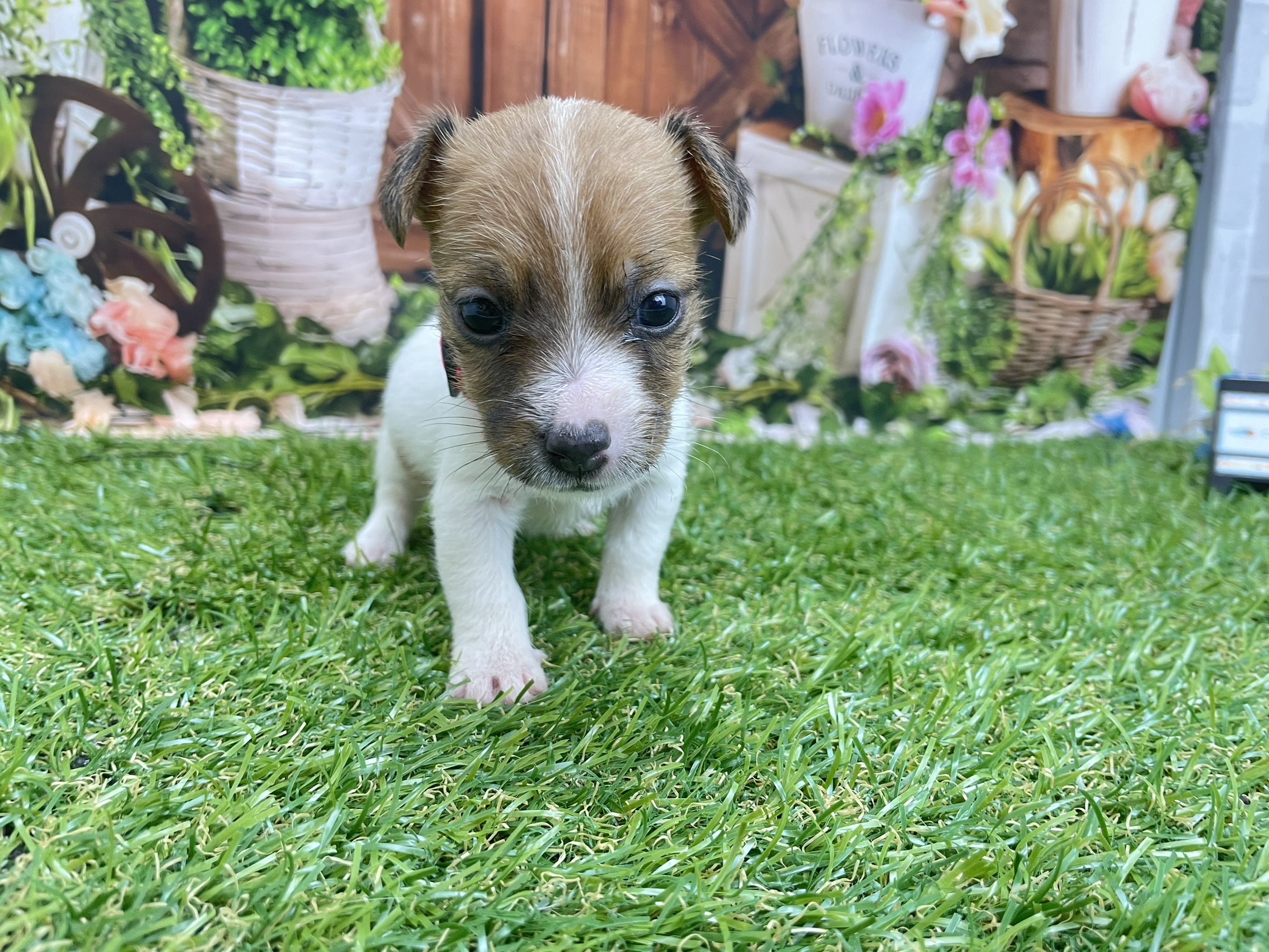 赤ちゃん写真2-2