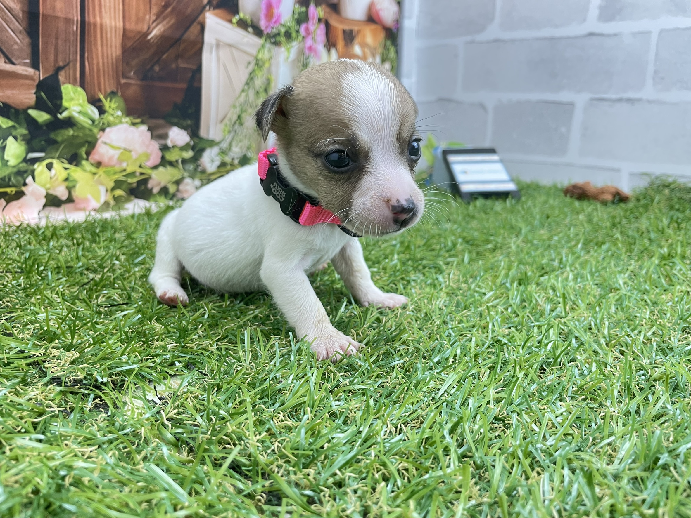 赤ちゃん写真2-1