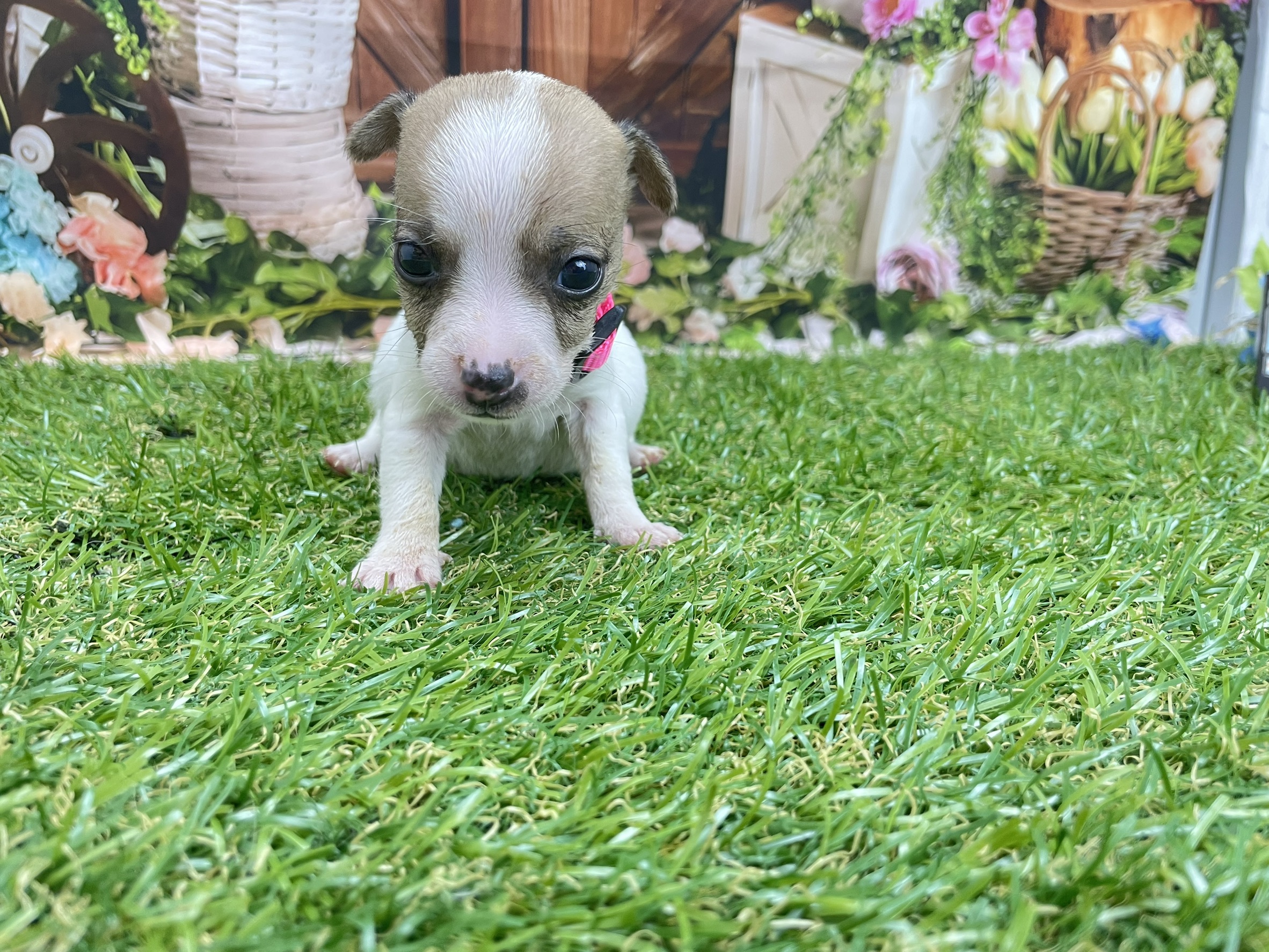 赤ちゃん写真2-2