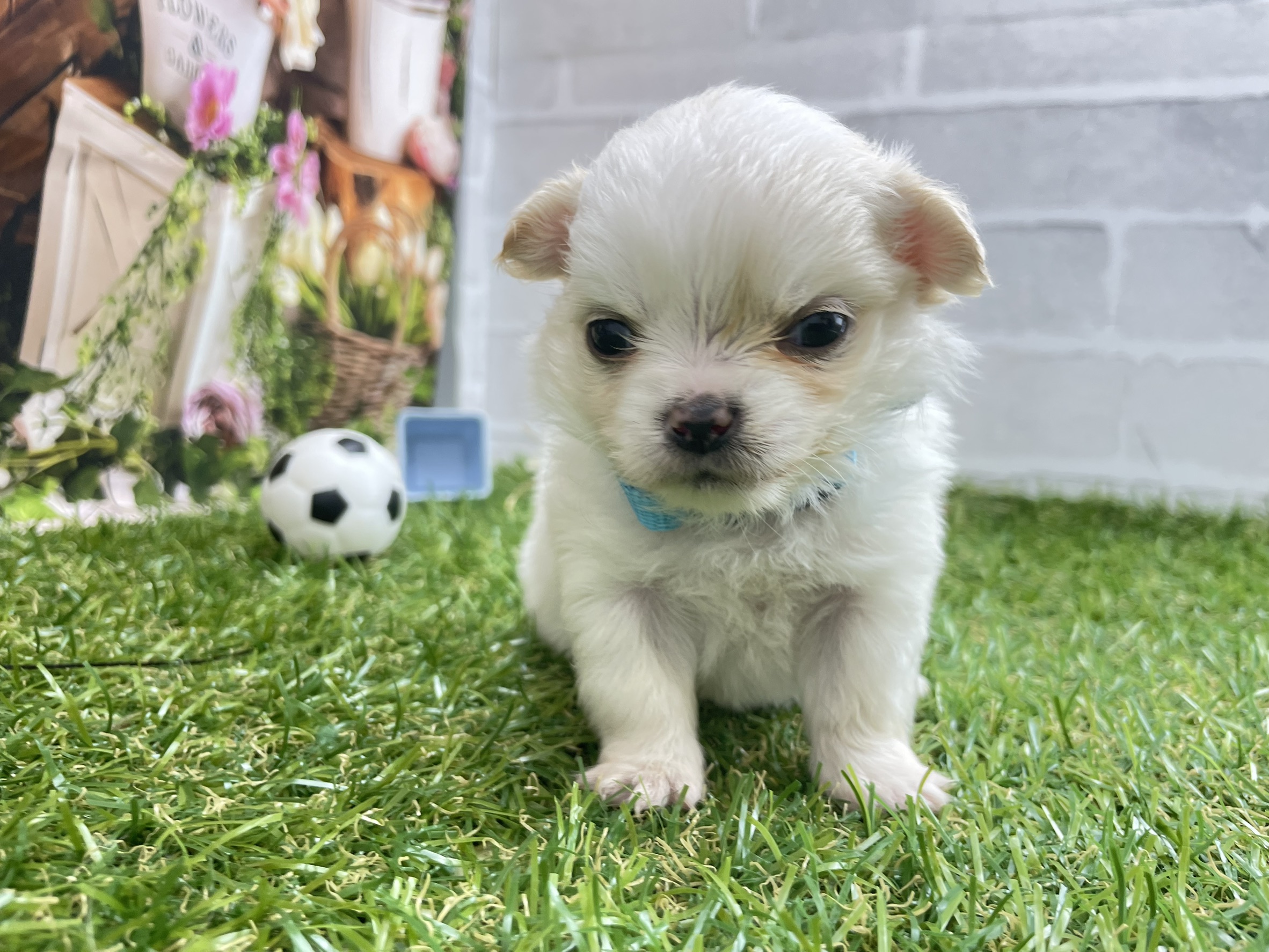 赤ちゃん写真2-2