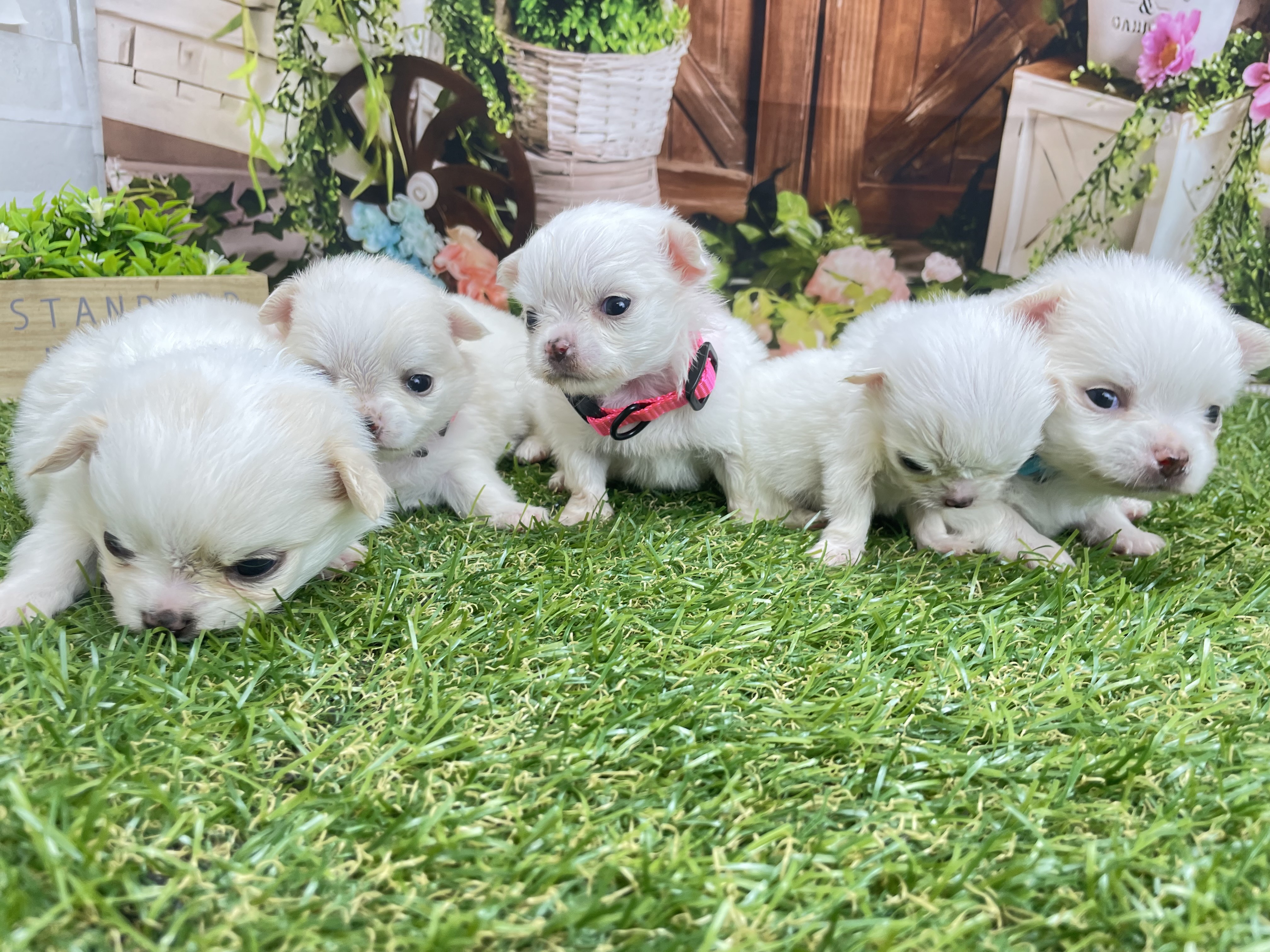 赤ちゃん写真2-3