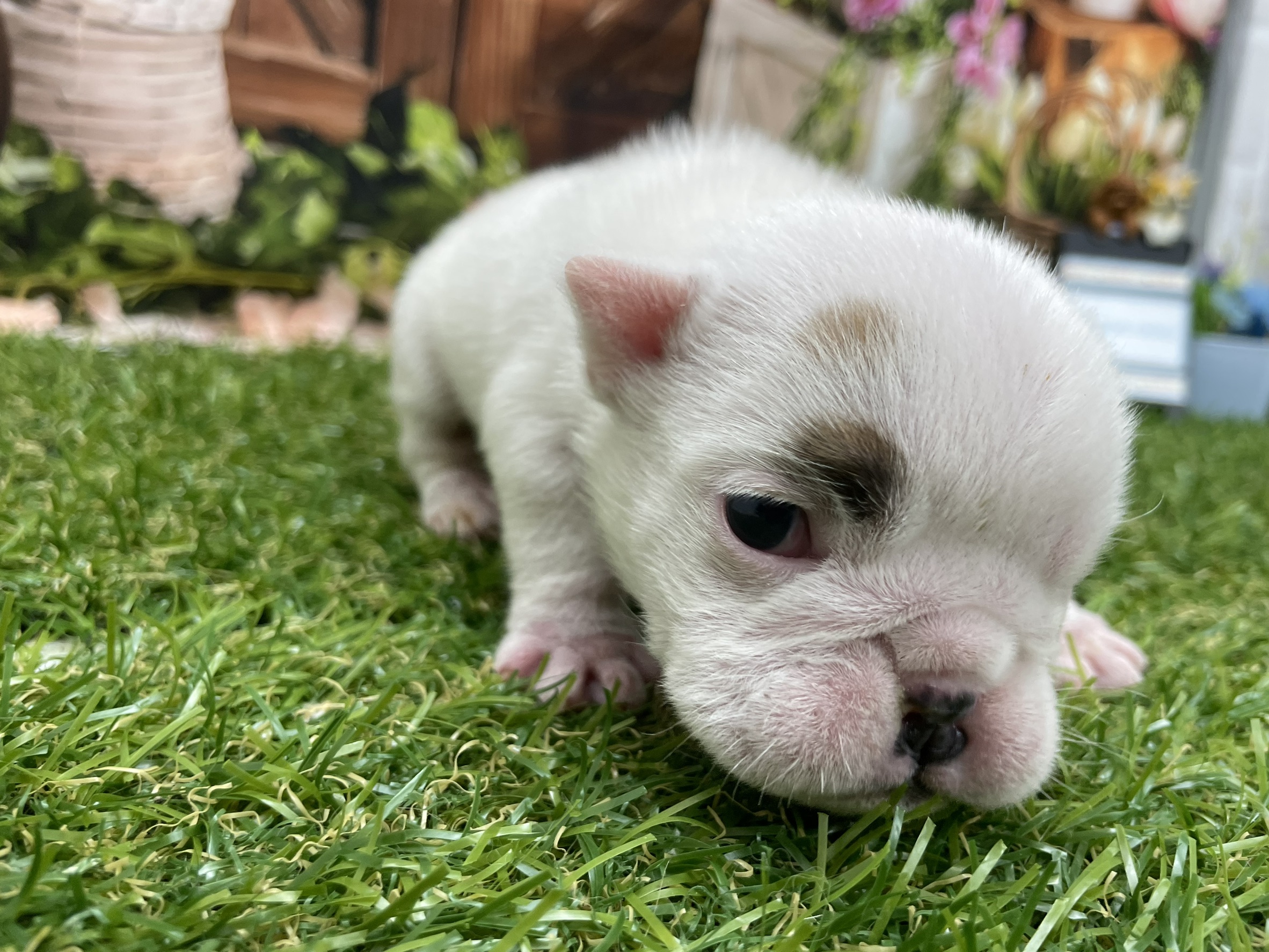 赤ちゃん写真1-1