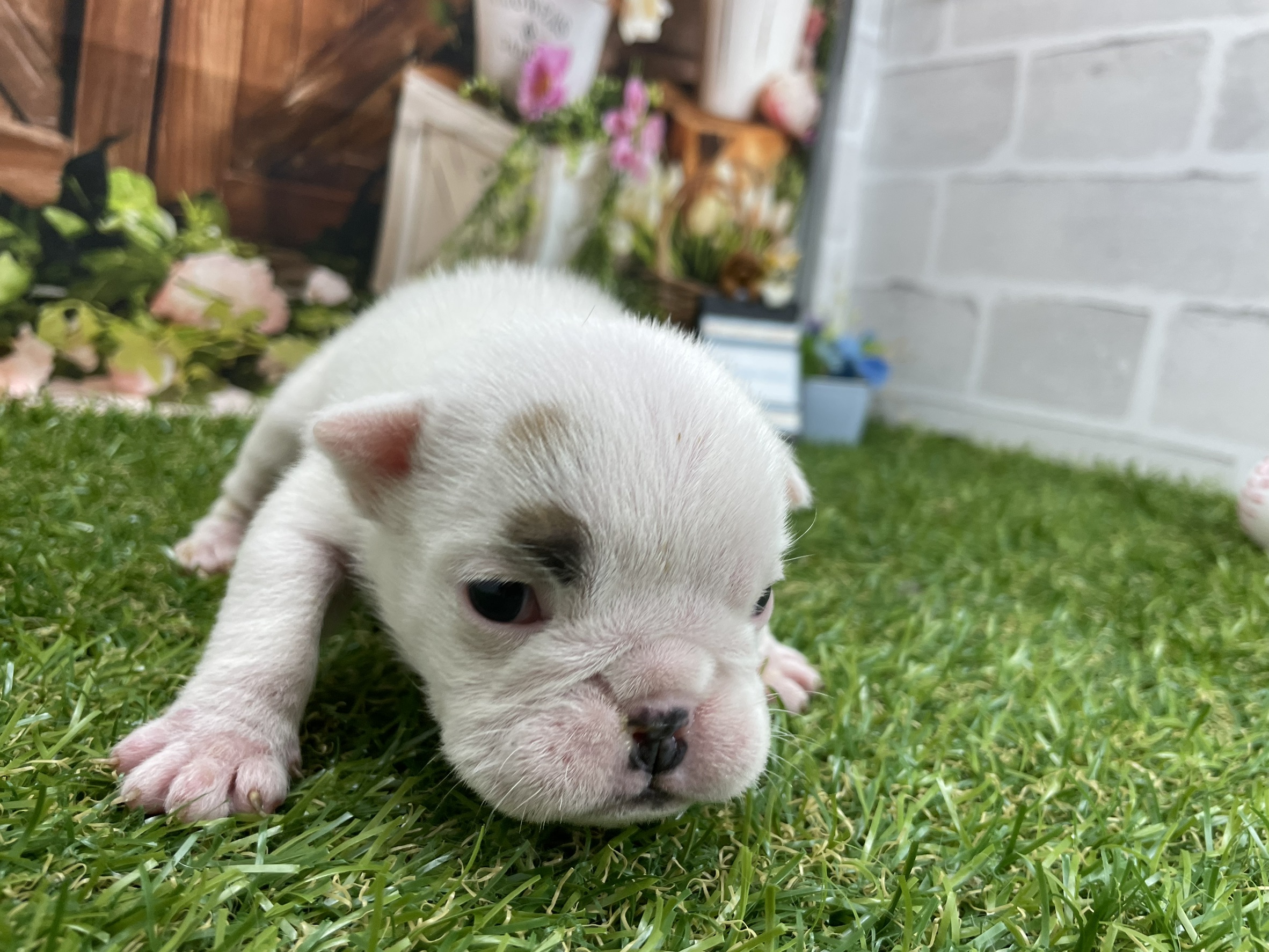 赤ちゃん写真1-2