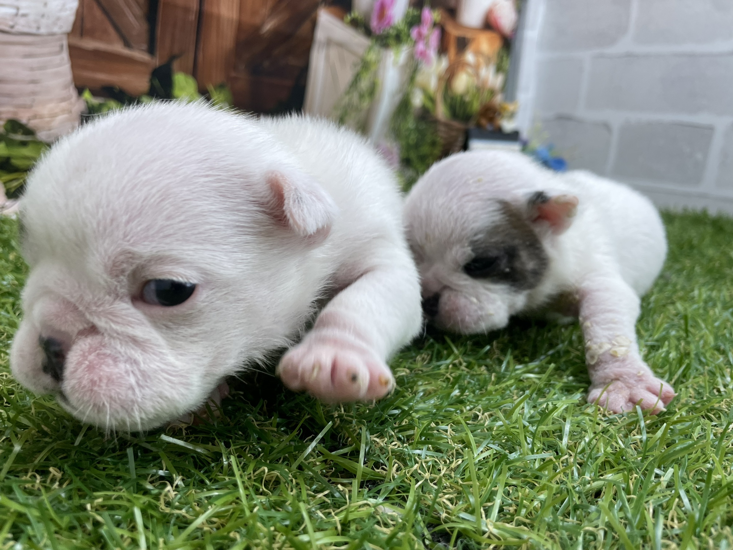 赤ちゃん写真1-3