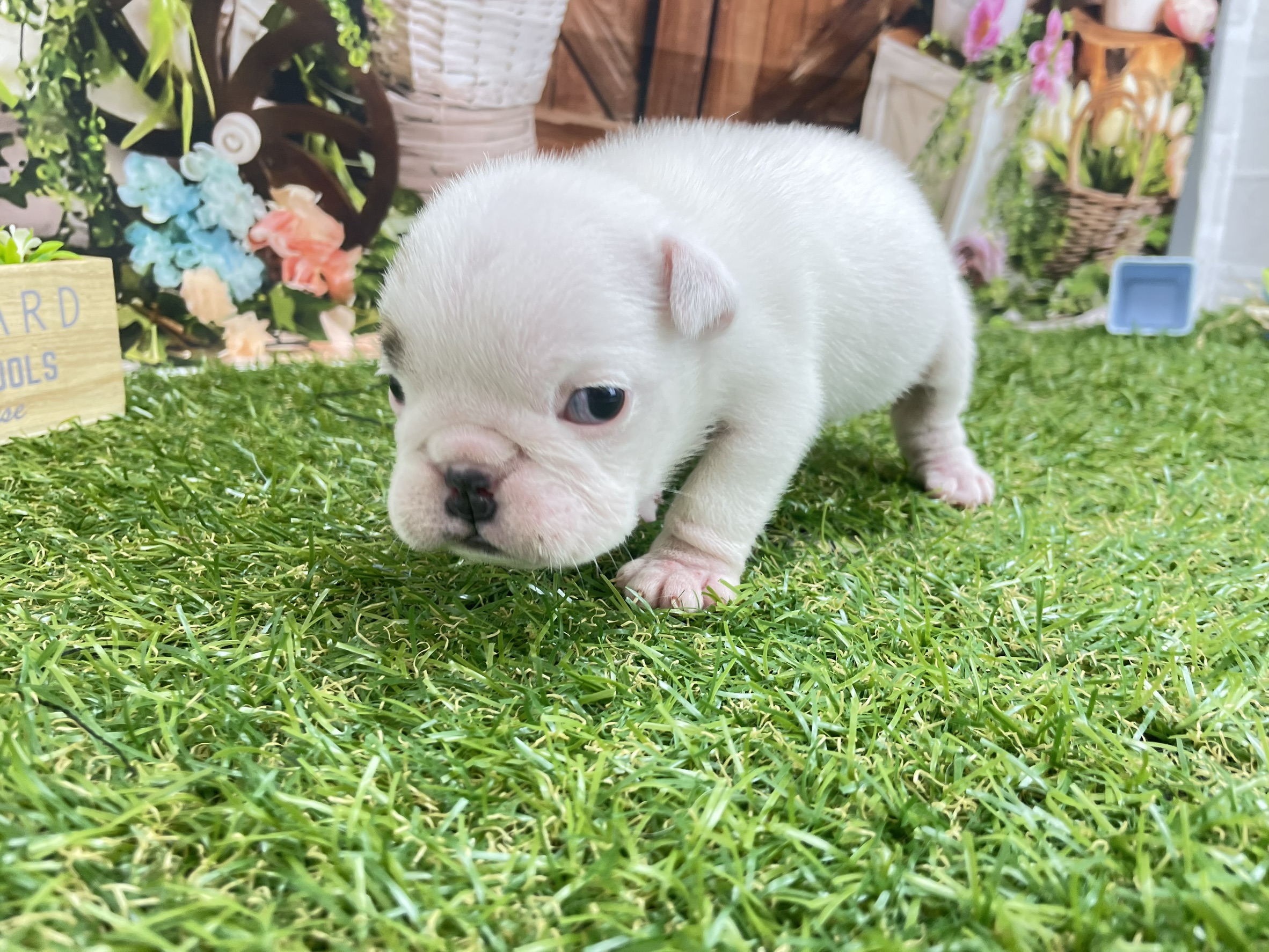 赤ちゃん写真2-1