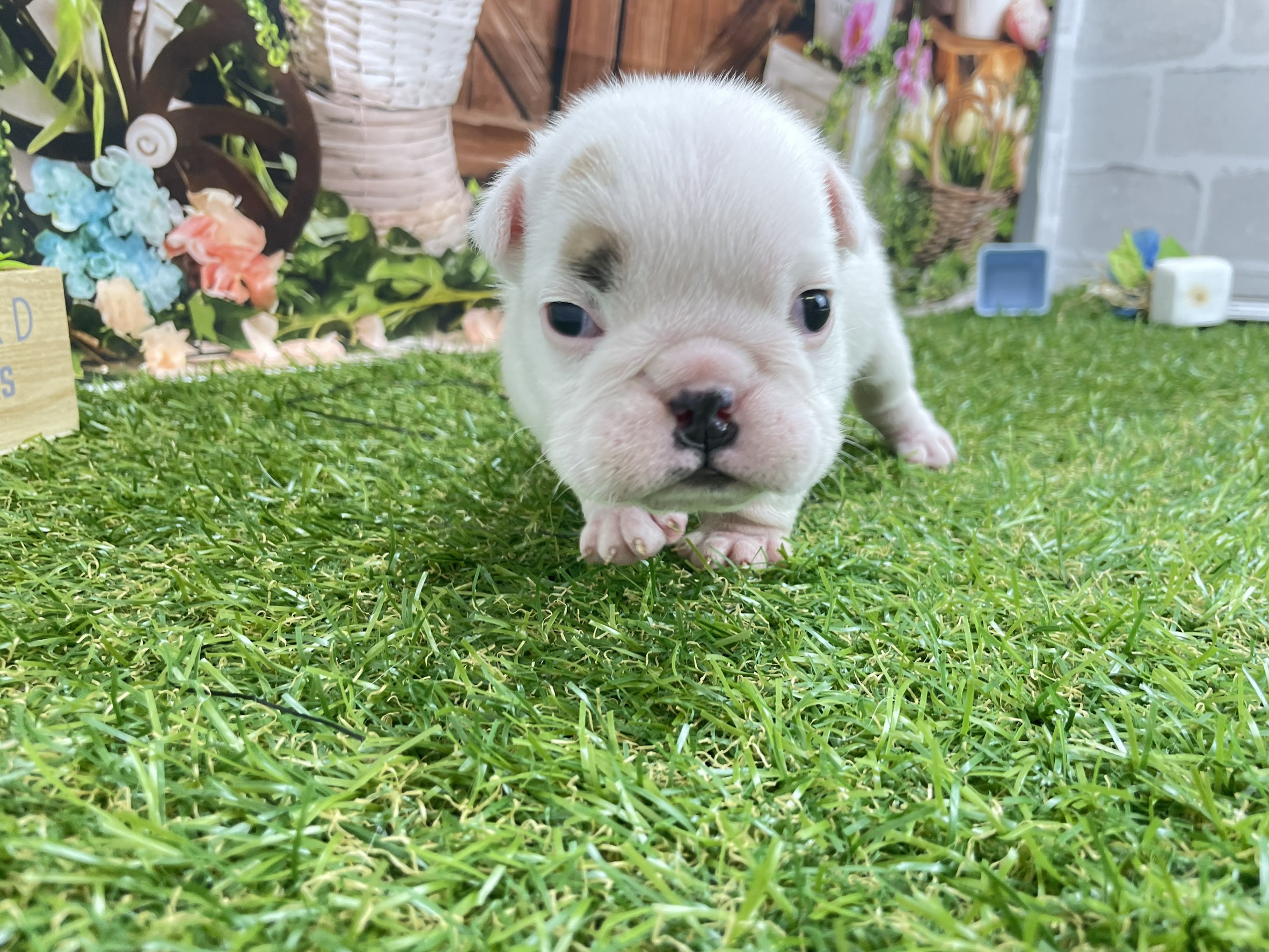 赤ちゃん写真2-2