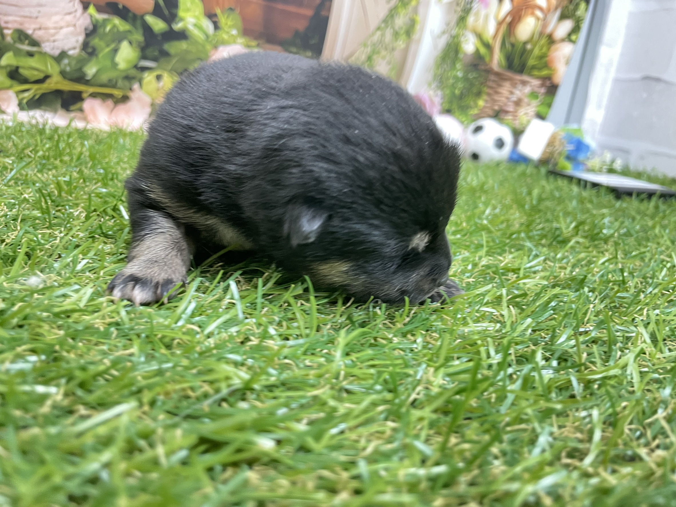 赤ちゃん写真1-1