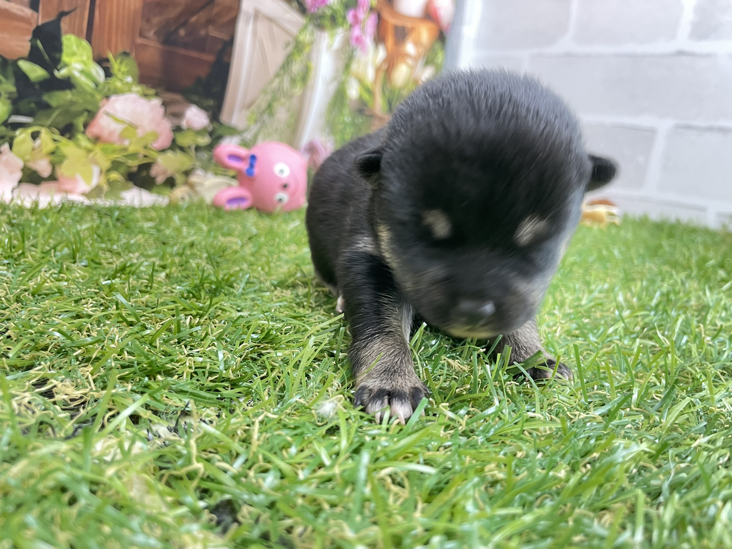 赤ちゃん写真1-2