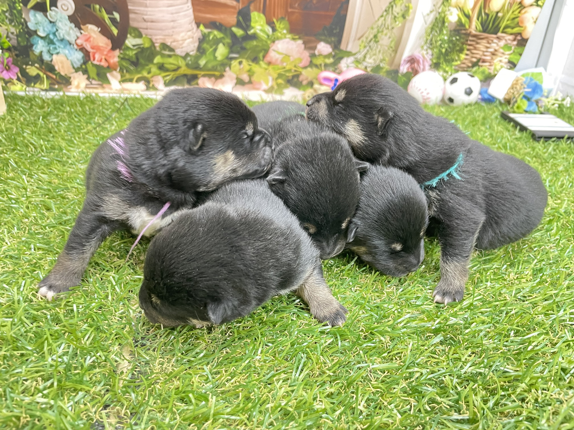 赤ちゃん写真1-3