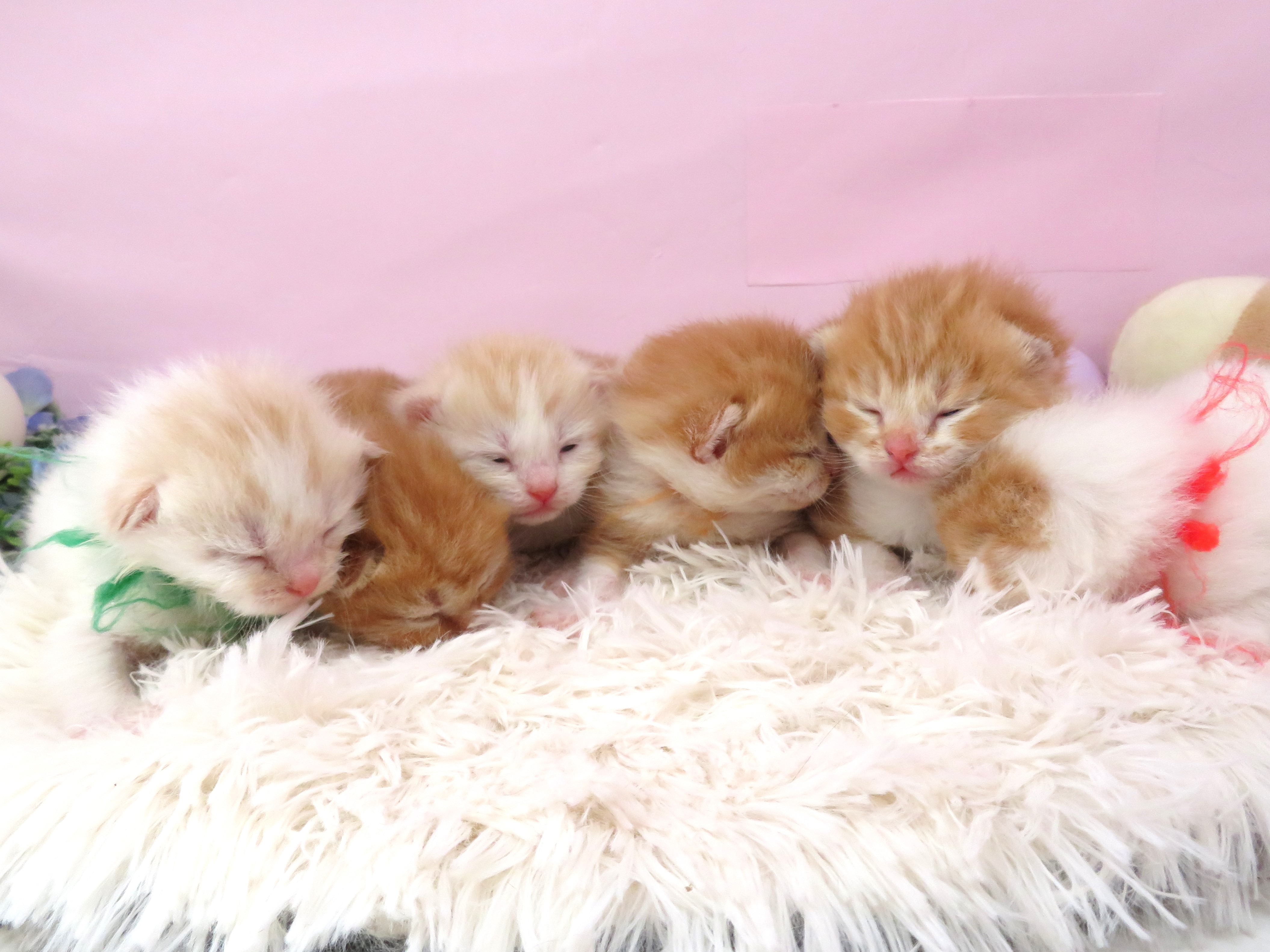 赤ちゃん写真1-3