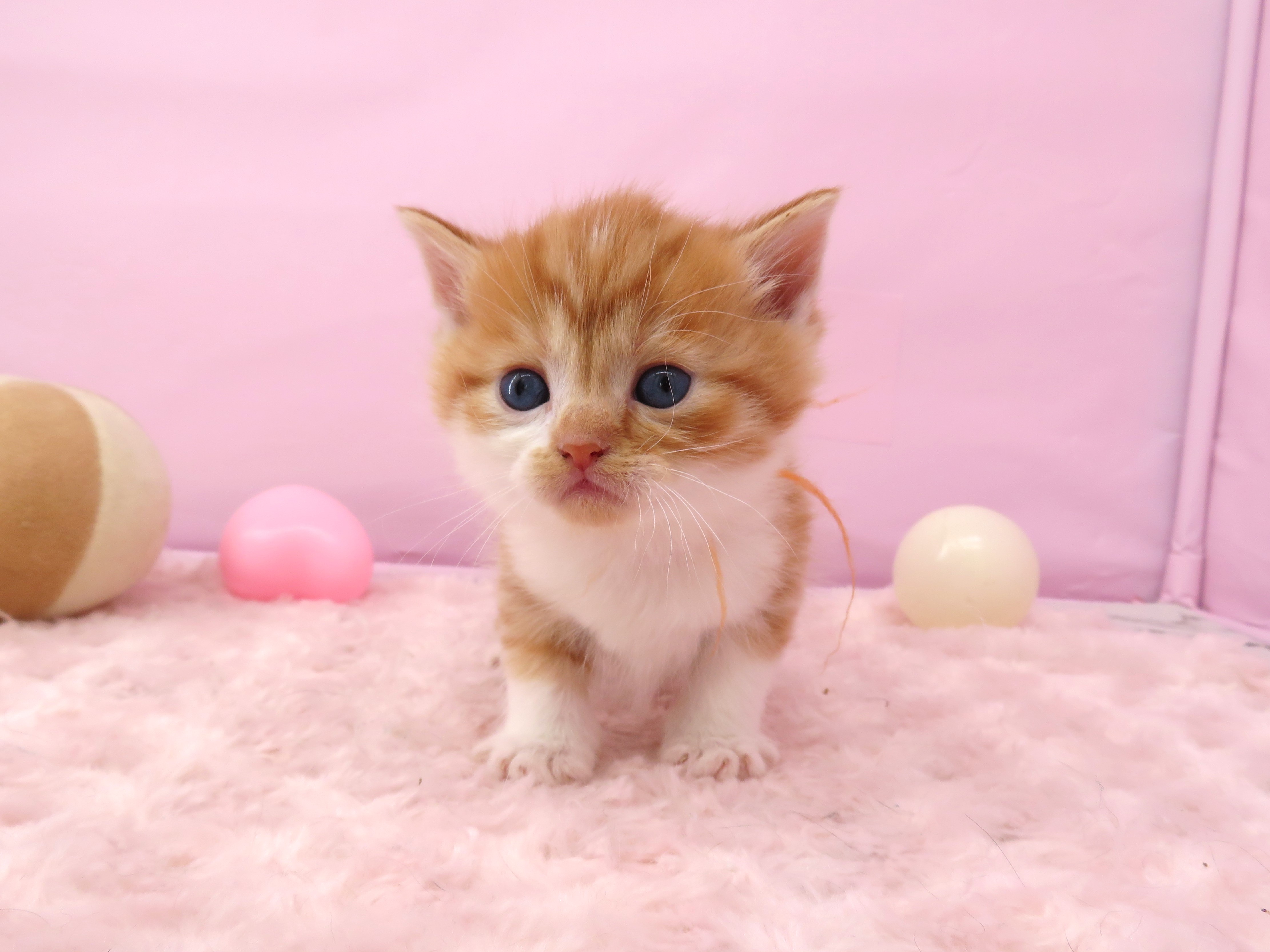 赤ちゃん写真2-1