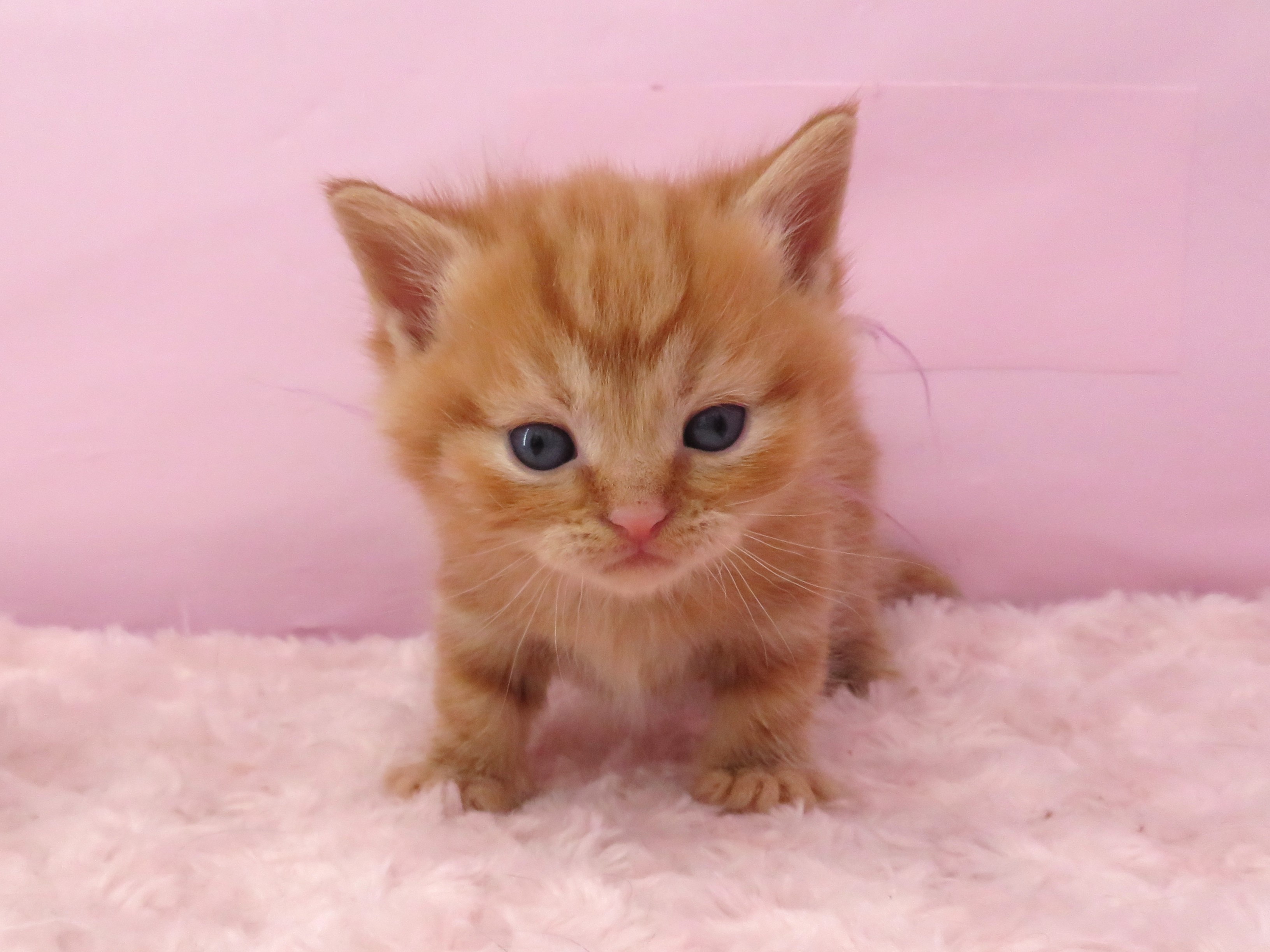 赤ちゃん写真2-2