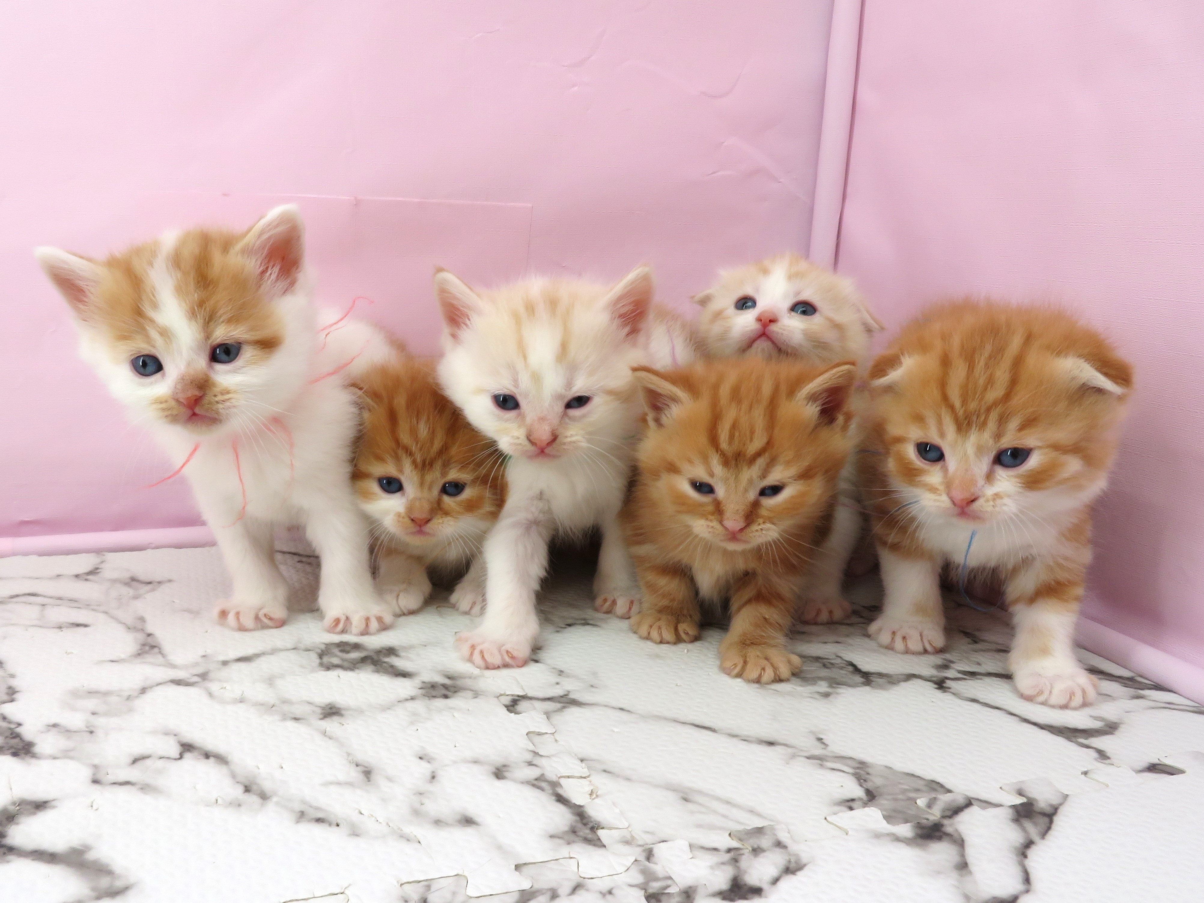 赤ちゃん写真2-3