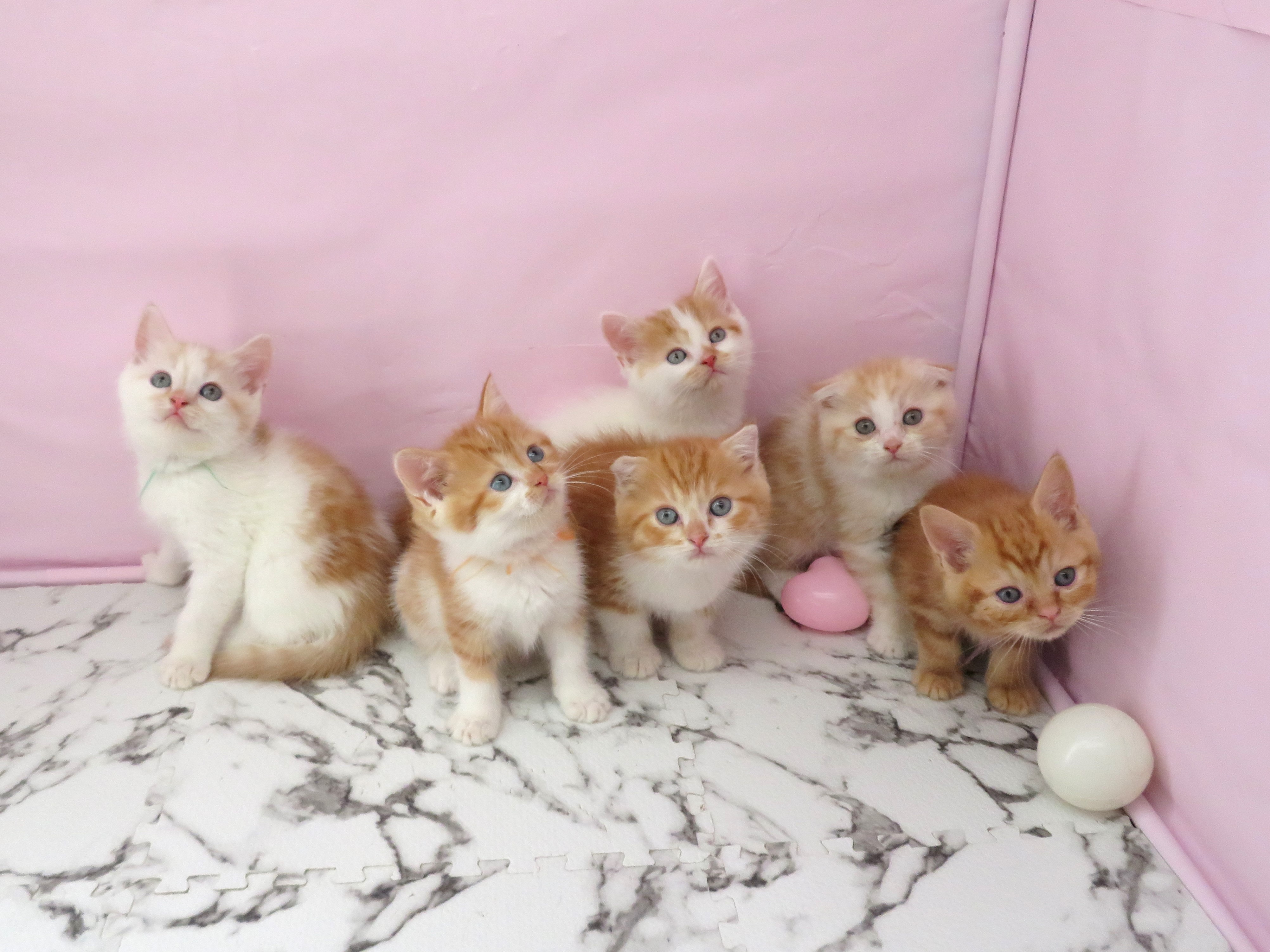 赤ちゃん写真3-3