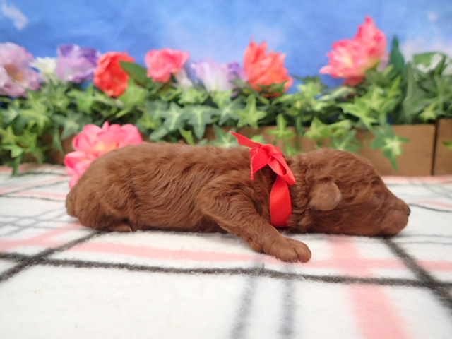 赤ちゃん写真1-2