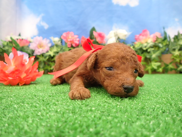 赤ちゃん写真2-2