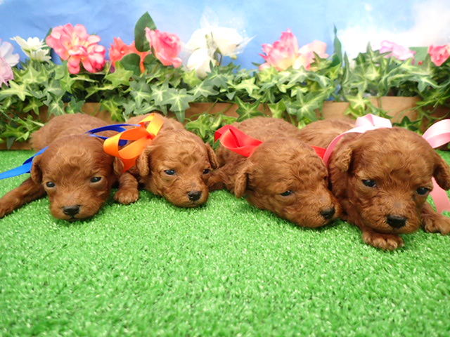 赤ちゃん写真2-3