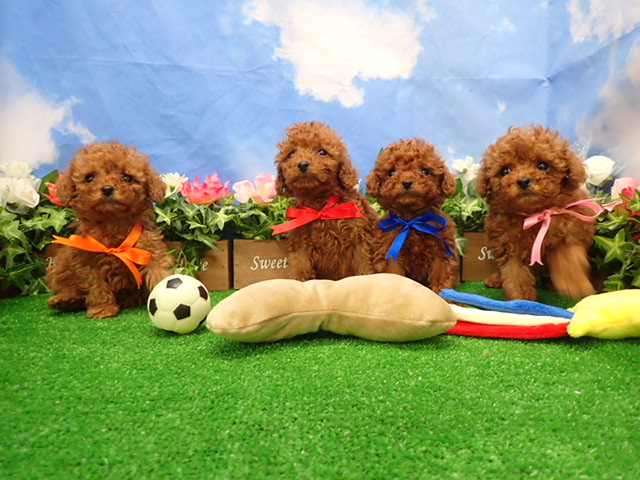 赤ちゃん写真3-3