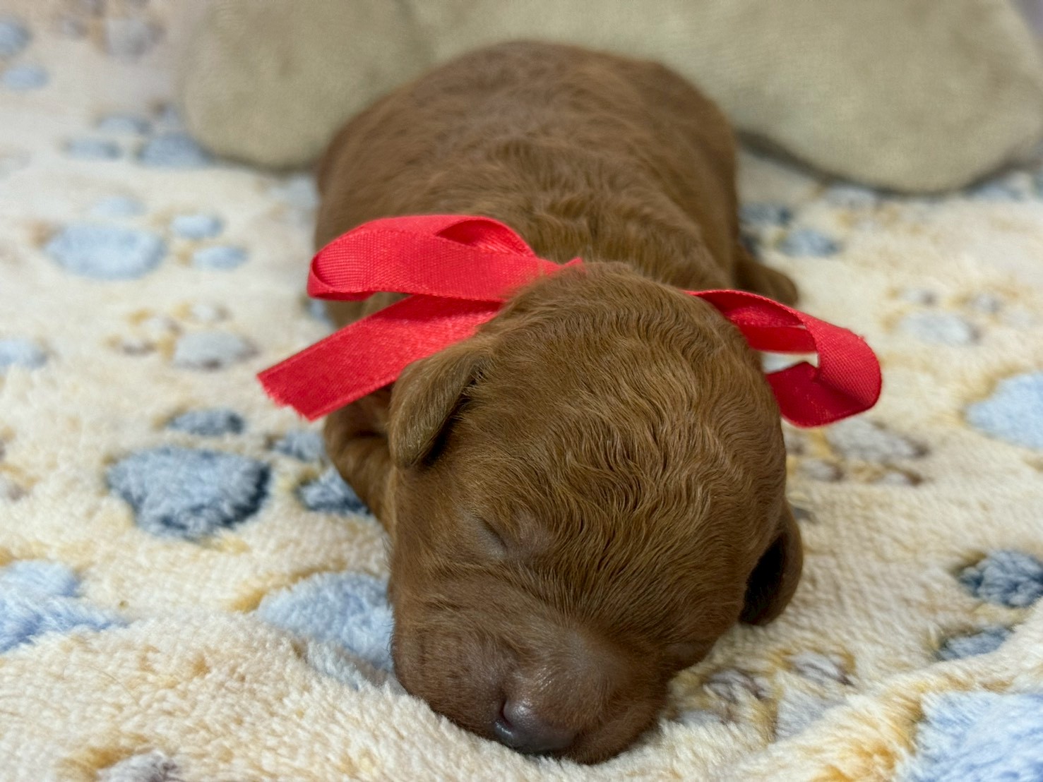 赤ちゃん写真1-1