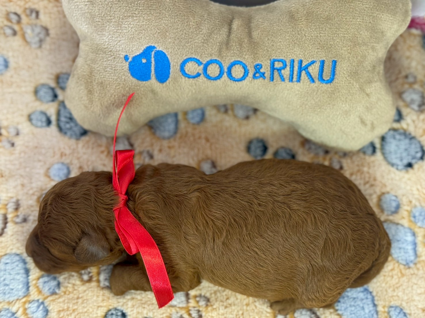 赤ちゃん写真1-3