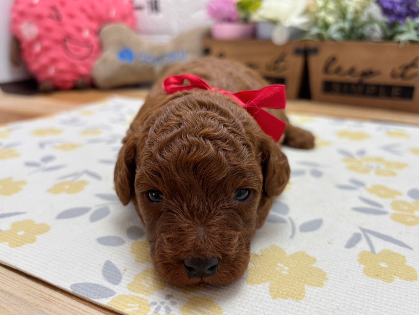 赤ちゃん写真2-1