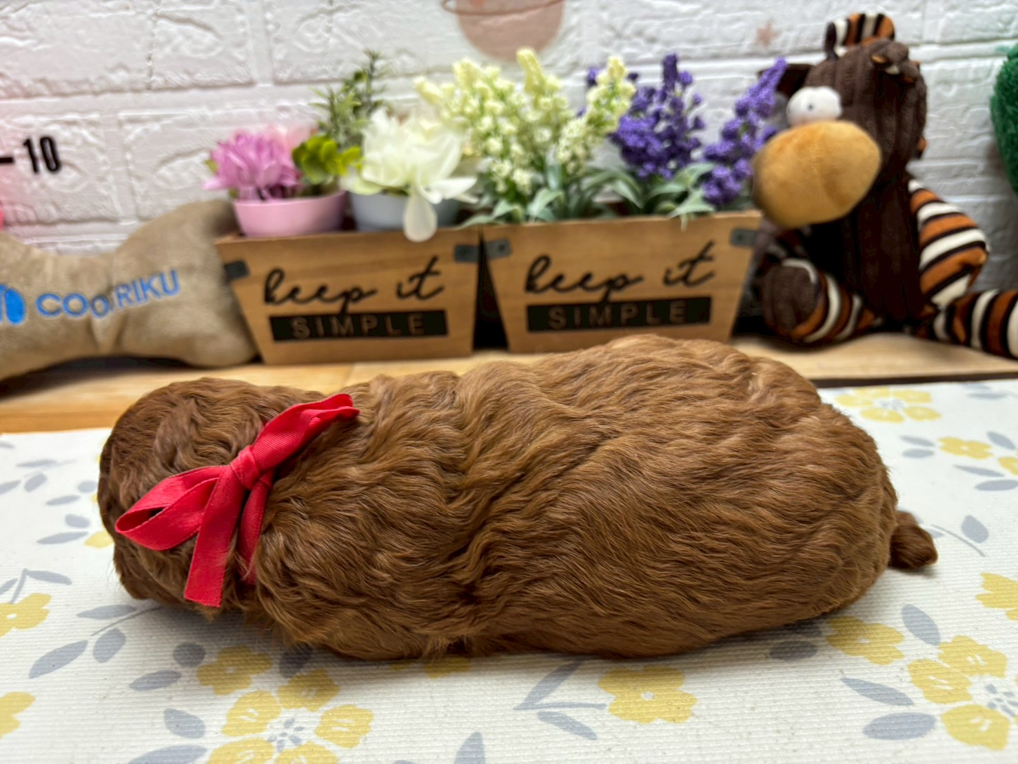 赤ちゃん写真2-2