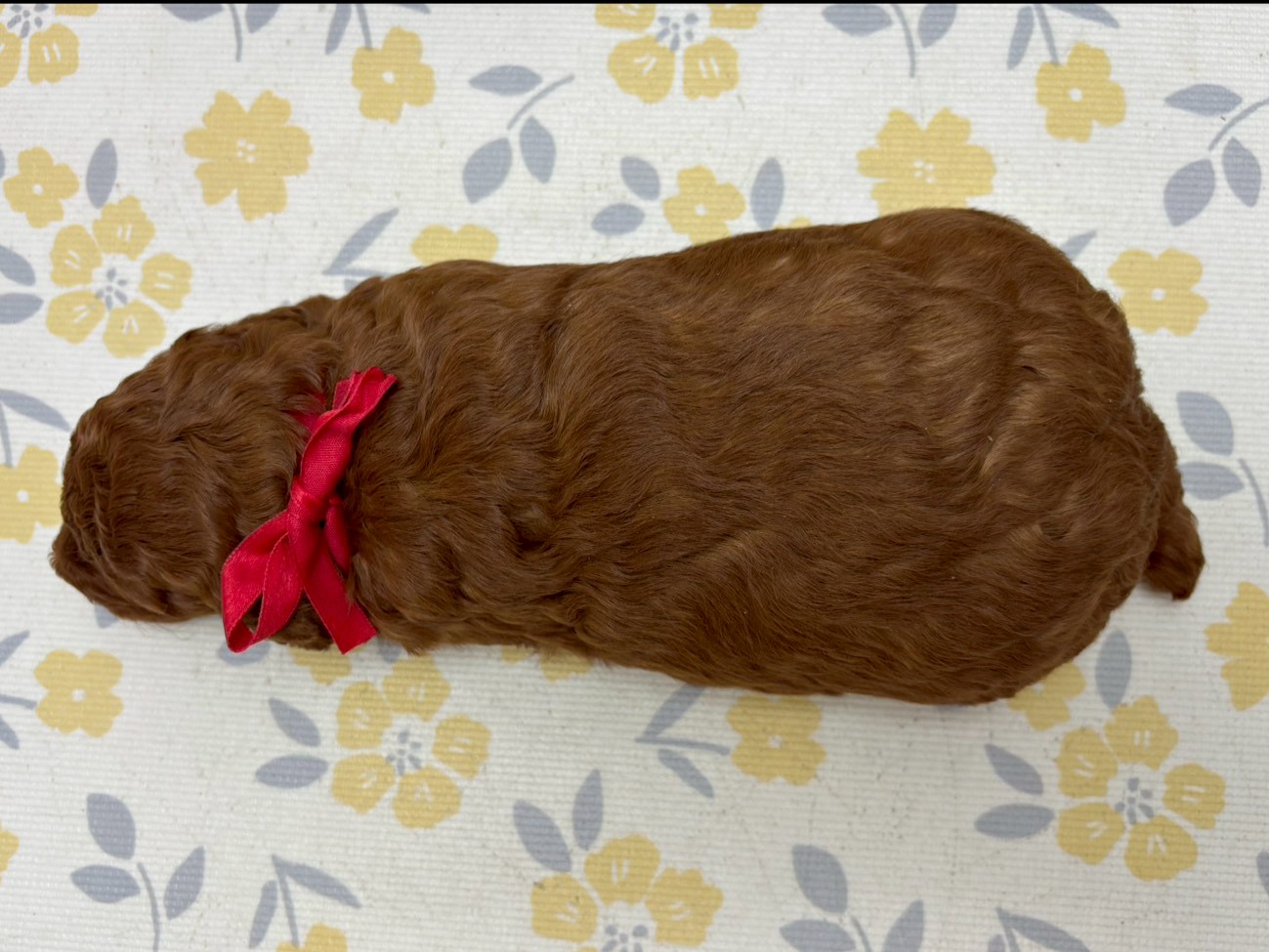 赤ちゃん写真2-3