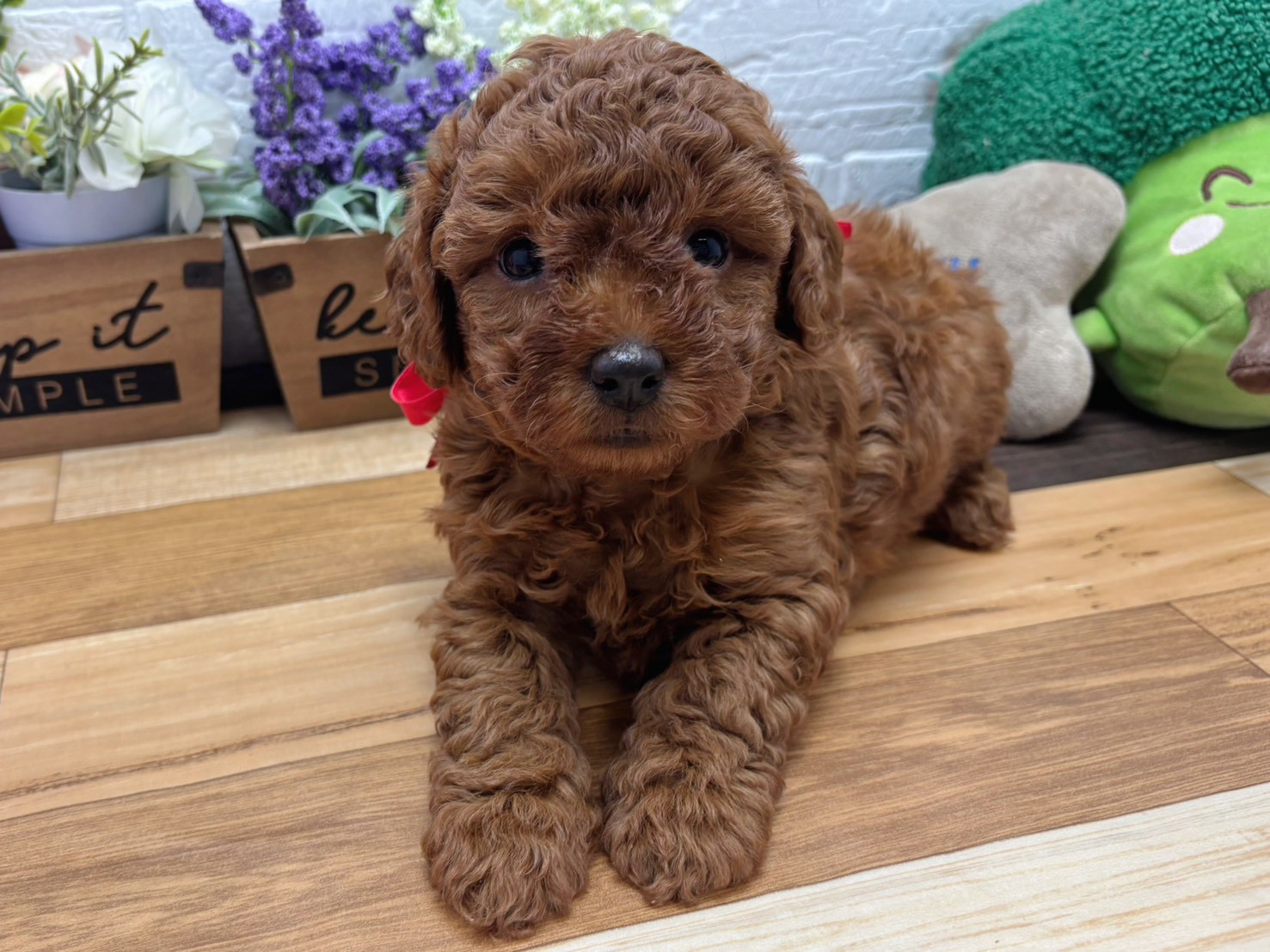 赤ちゃん写真3-1