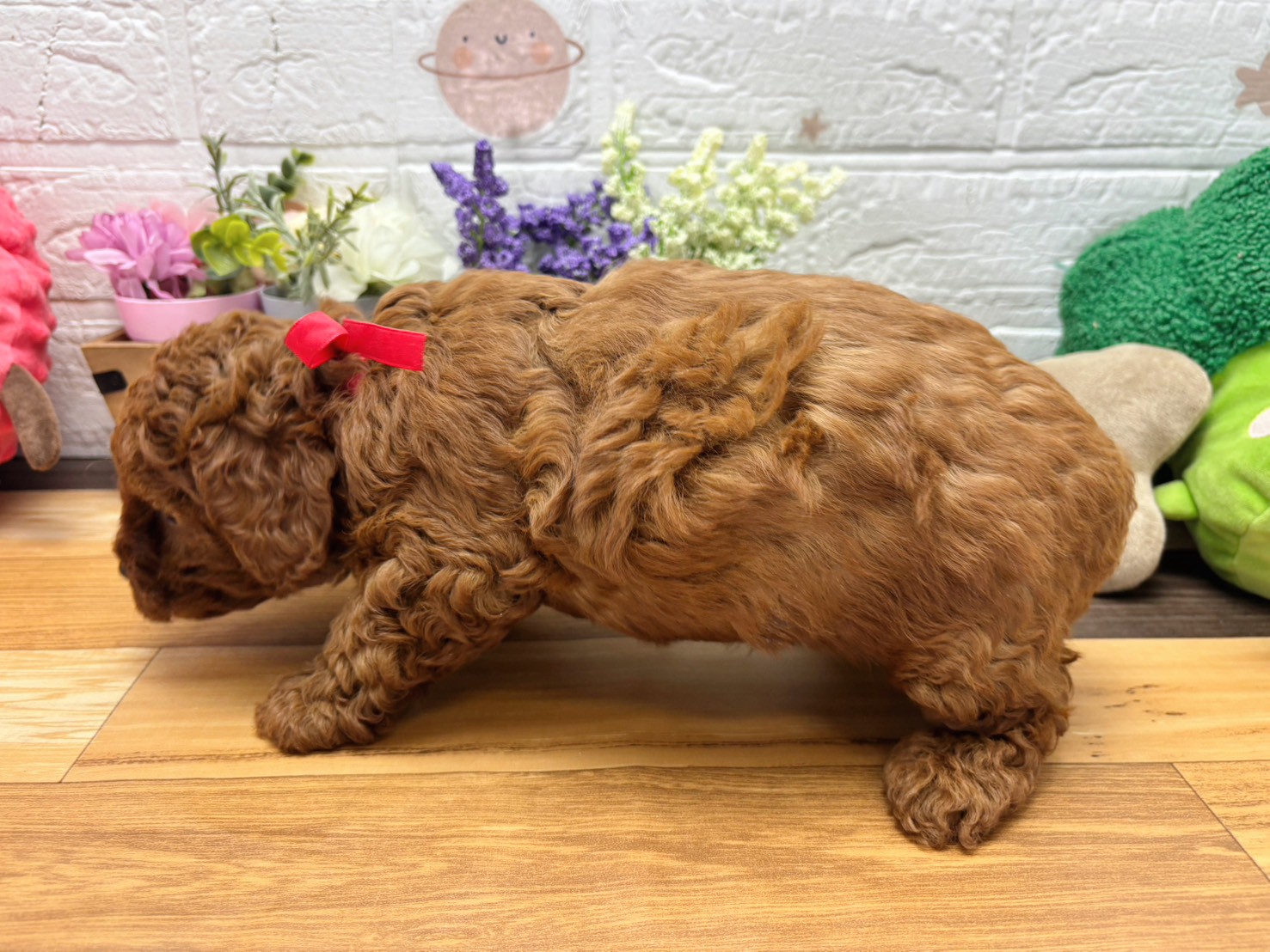 赤ちゃん写真3-2