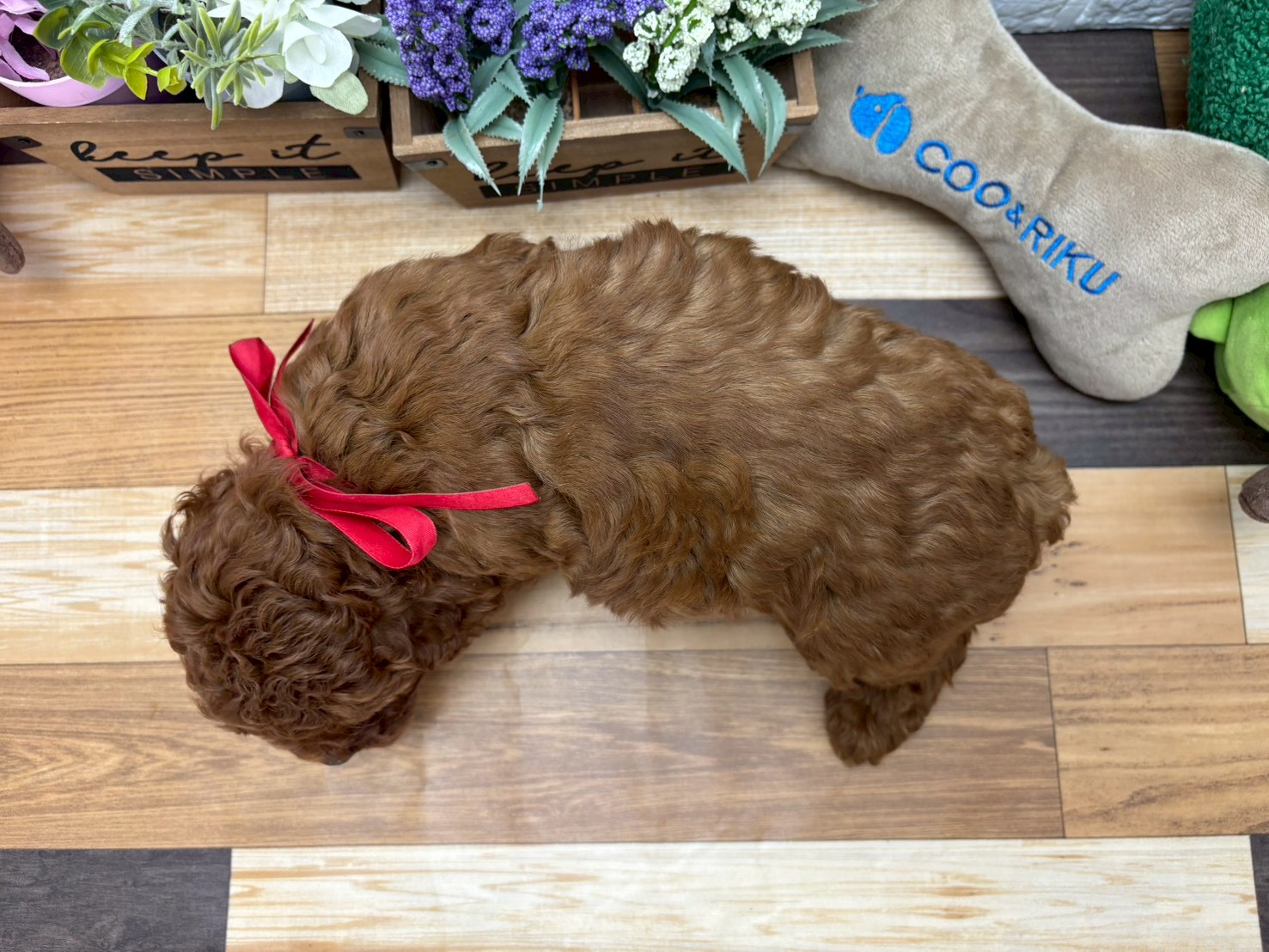 赤ちゃん写真3-3