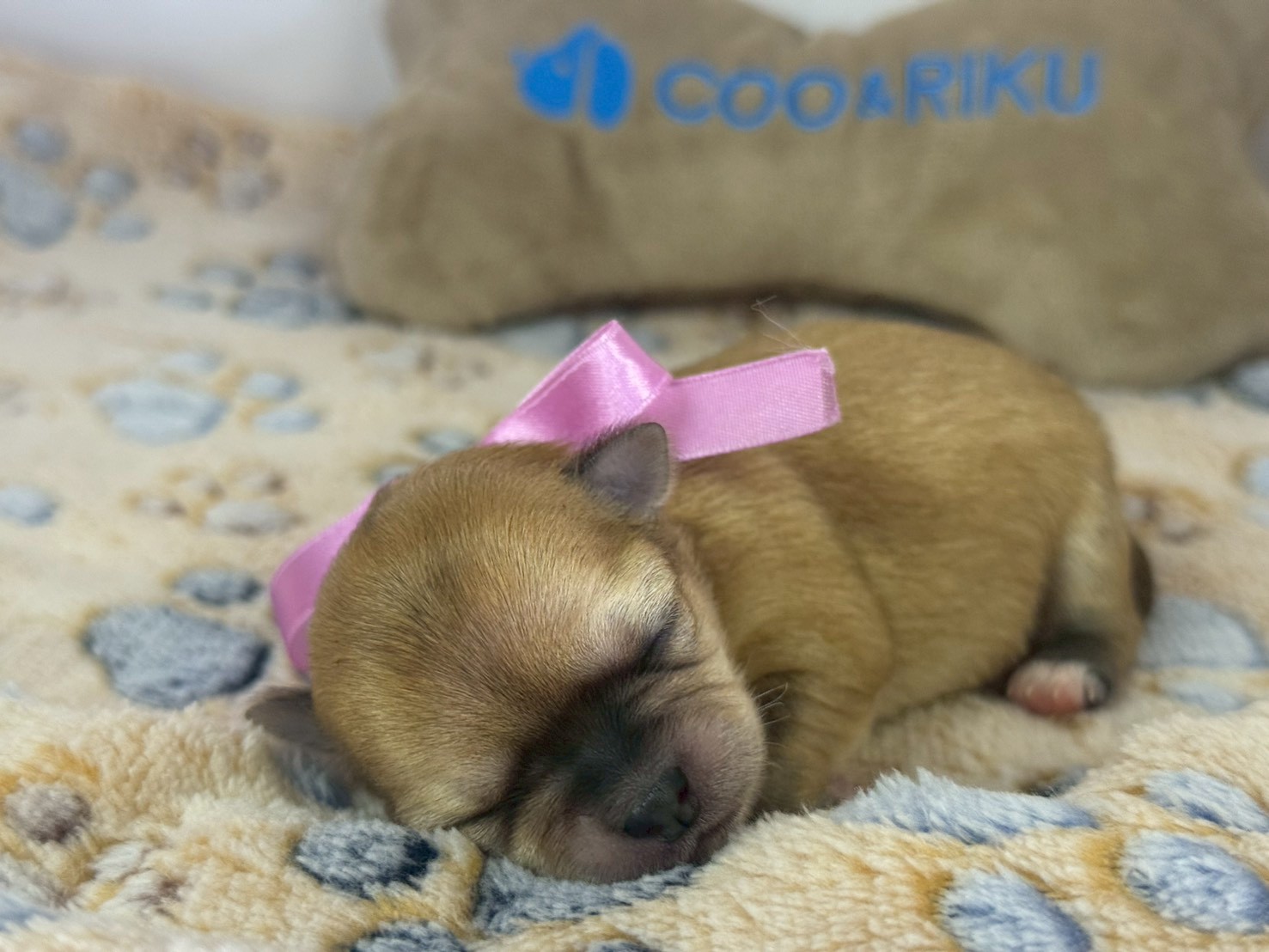 赤ちゃん写真1-1