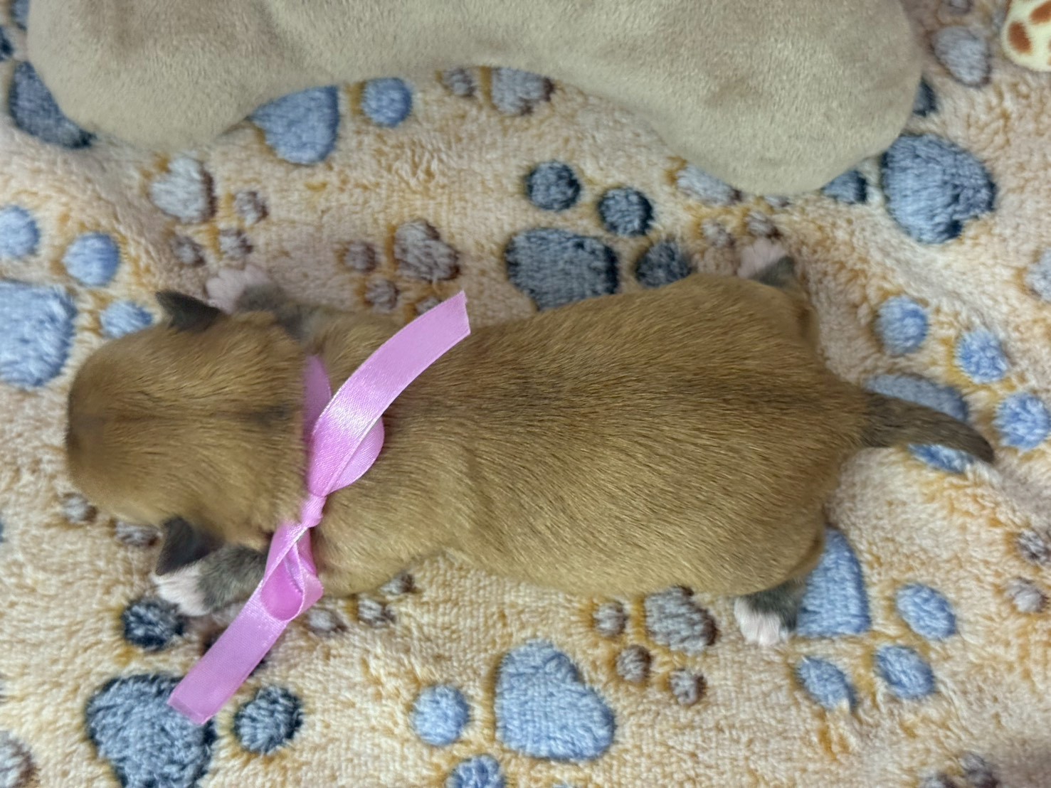 赤ちゃん写真1-3