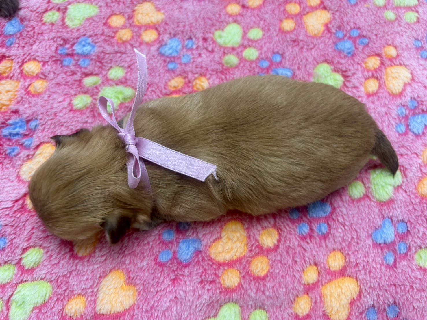 赤ちゃん写真2-3