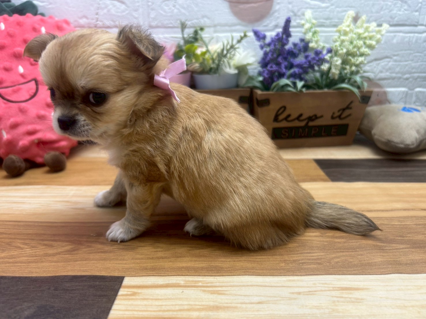 赤ちゃん写真3-2