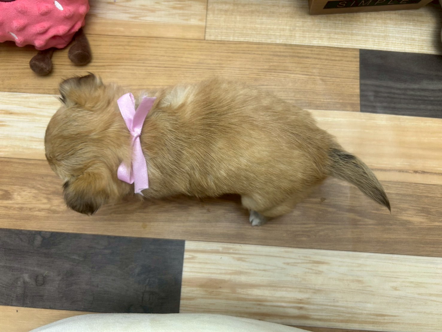 赤ちゃん写真3-3