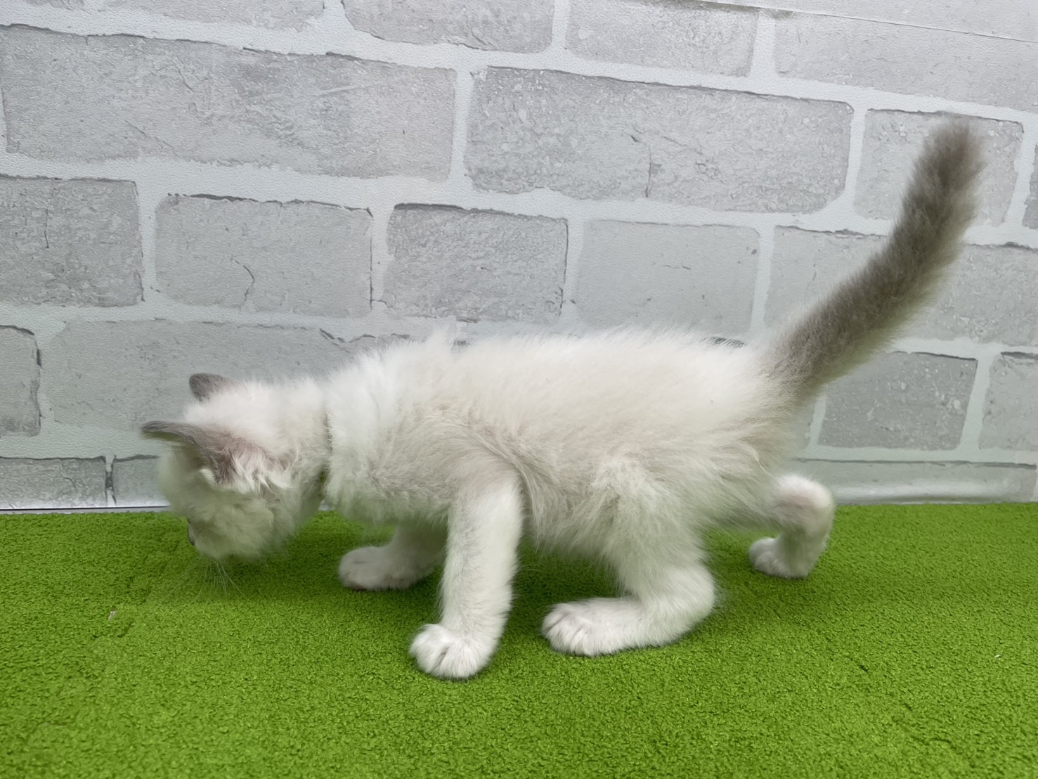 赤ちゃん写真2-2