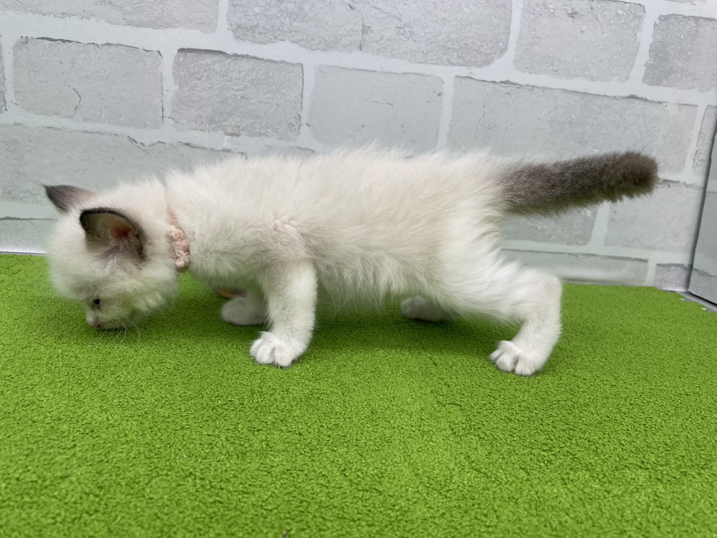 赤ちゃん写真2-2