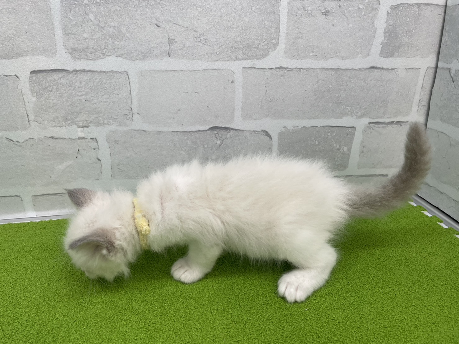 赤ちゃん写真2-2