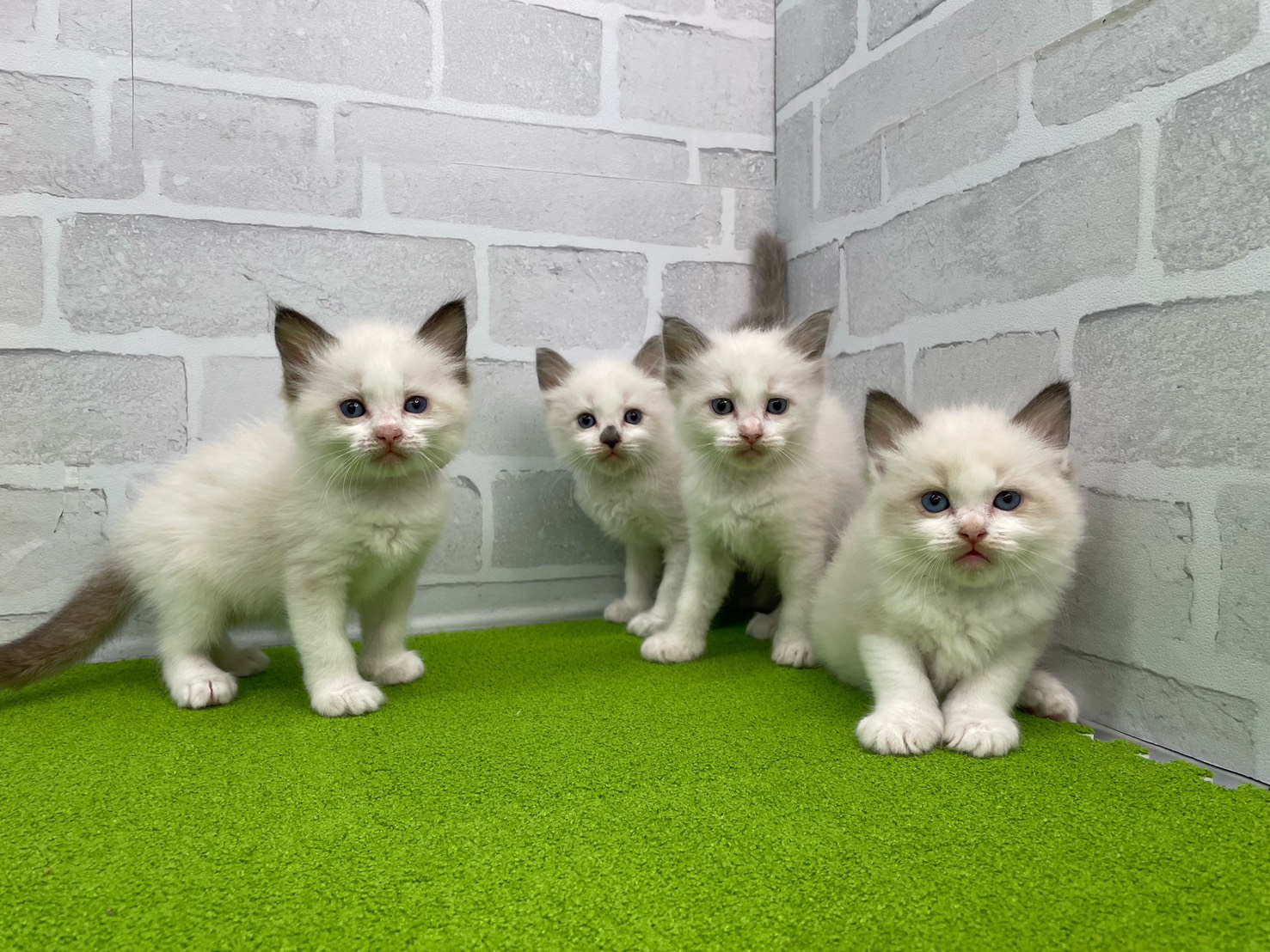 赤ちゃん写真2-3