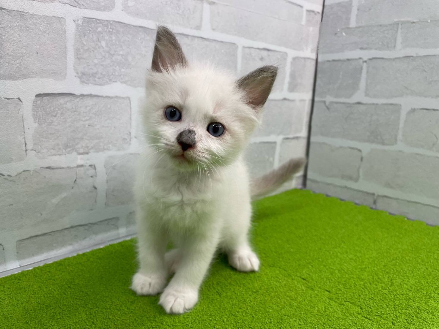 赤ちゃん写真3-1