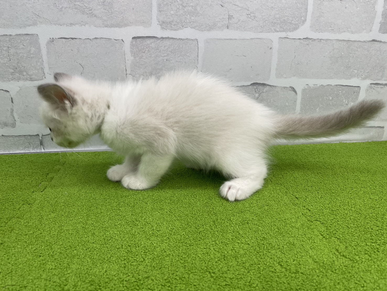 赤ちゃん写真3-2