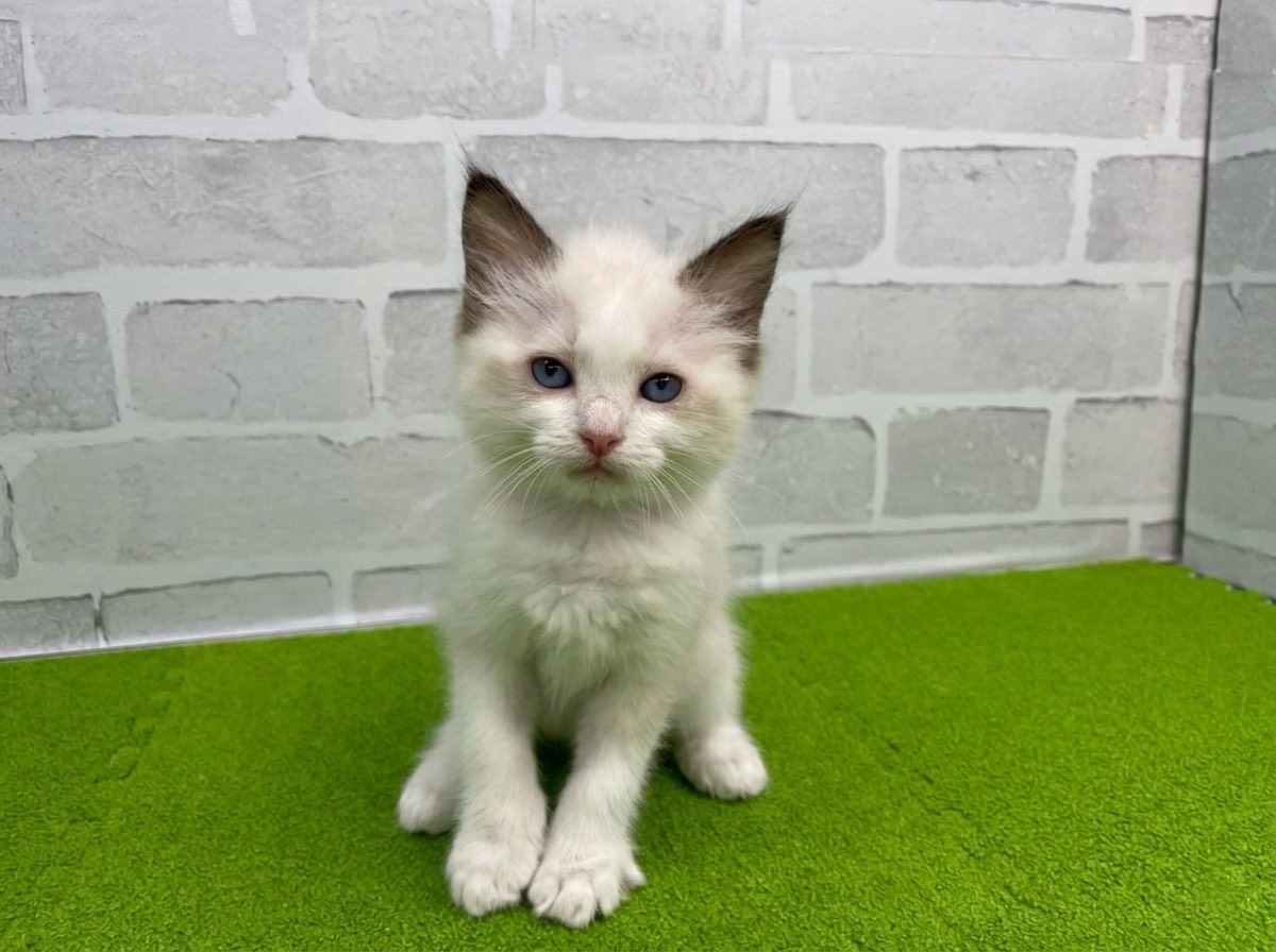 赤ちゃん写真3-1