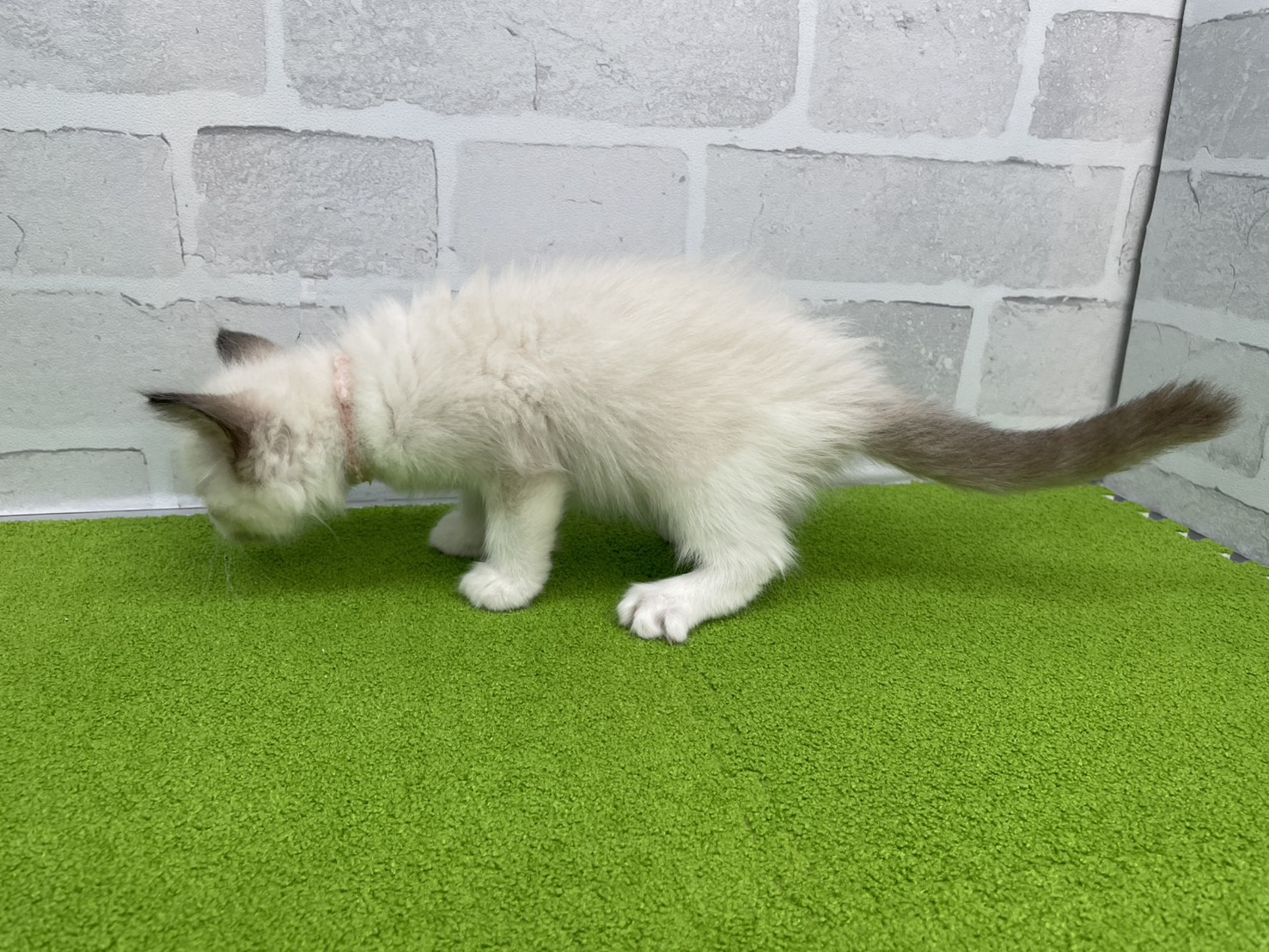 赤ちゃん写真3-2