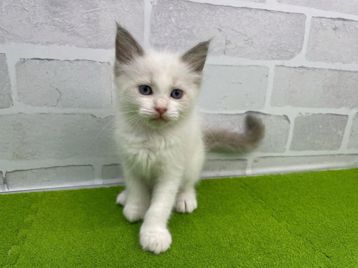 赤ちゃん写真3-1