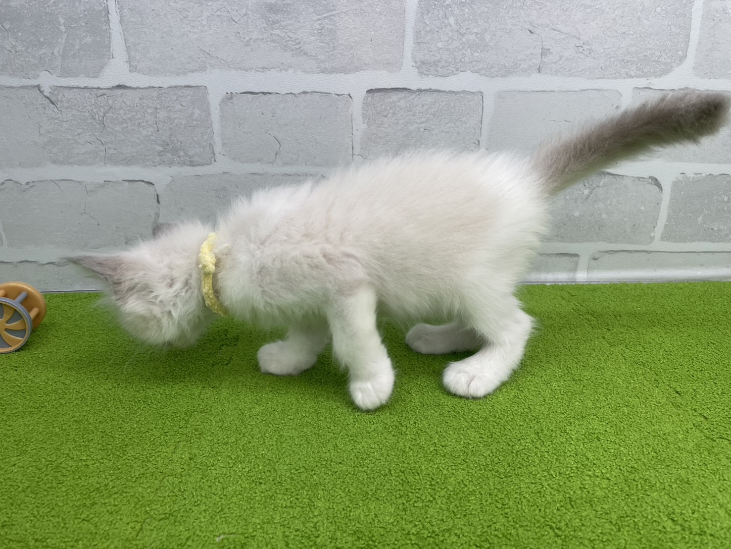 赤ちゃん写真3-2