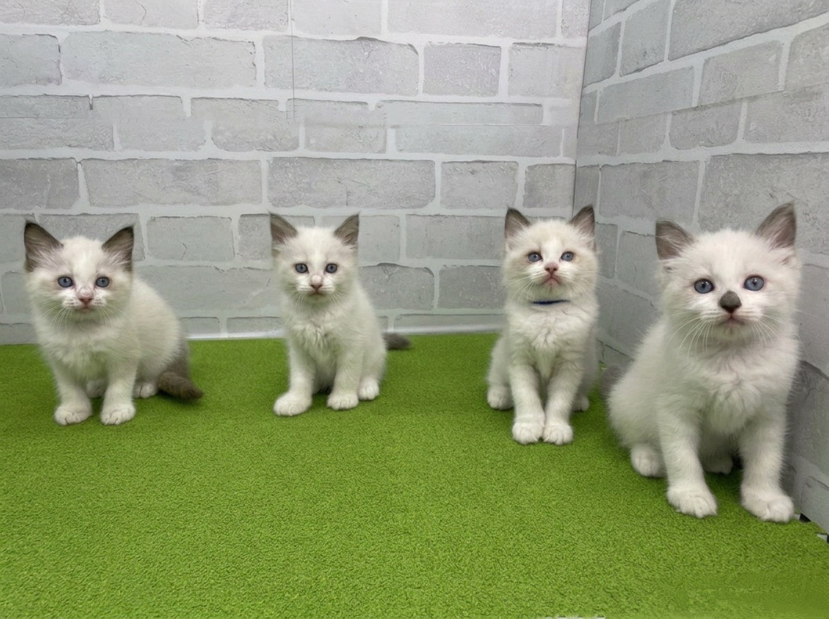 赤ちゃん写真3-3