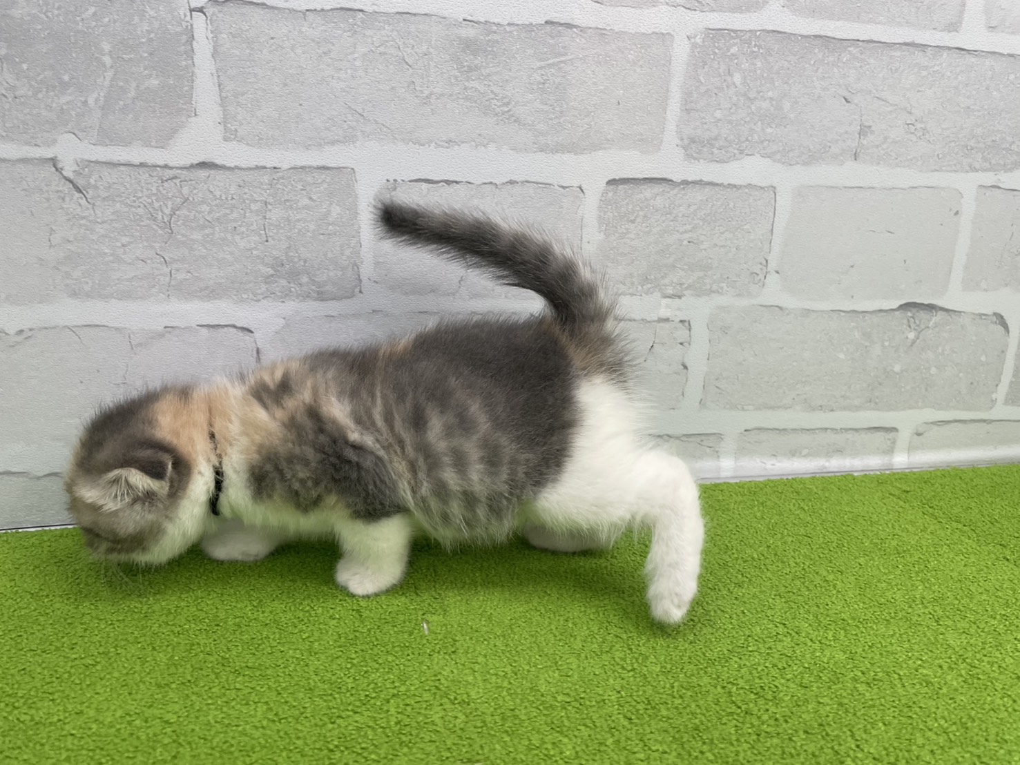赤ちゃん写真2-2