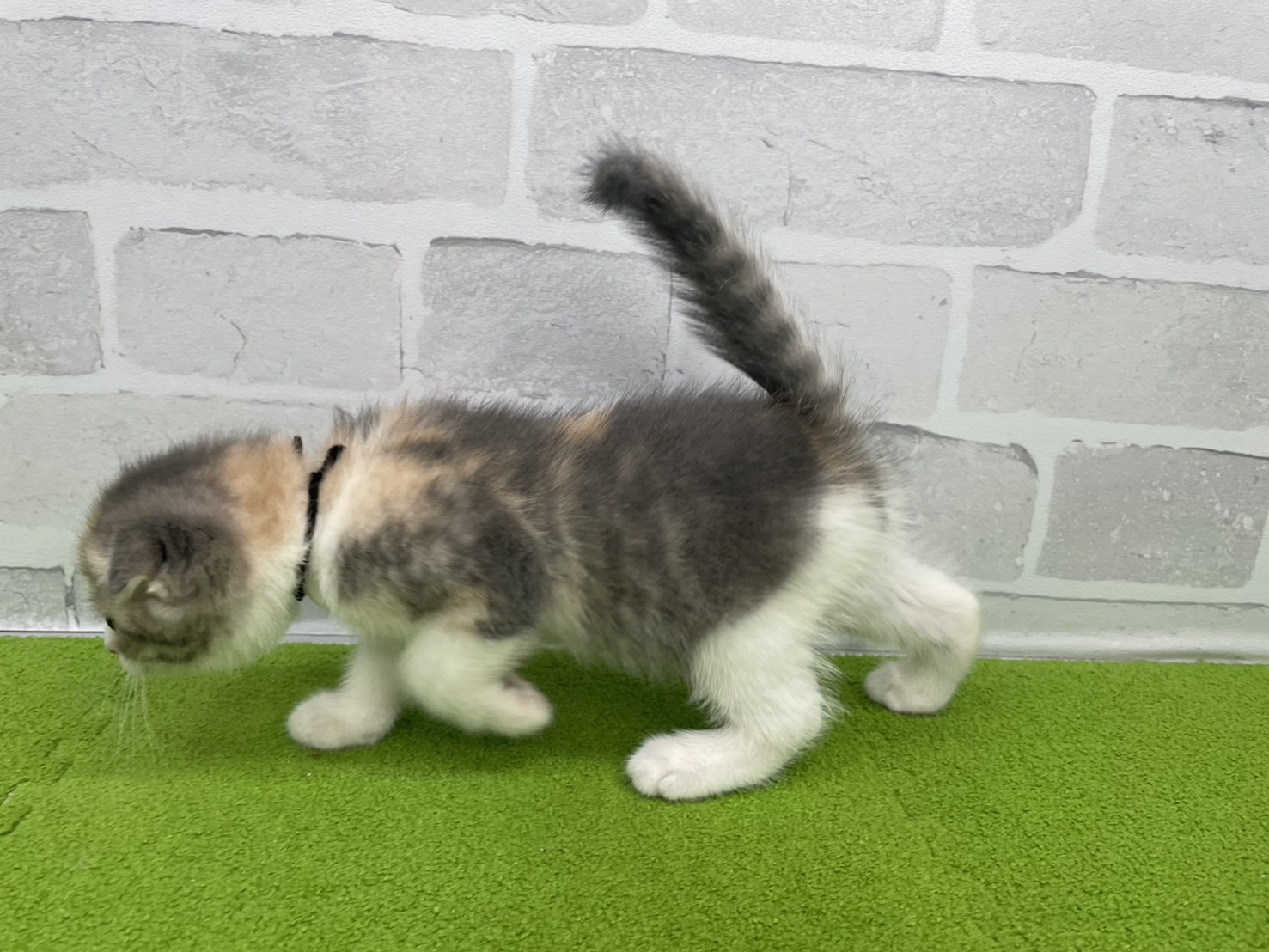 赤ちゃん写真3-2