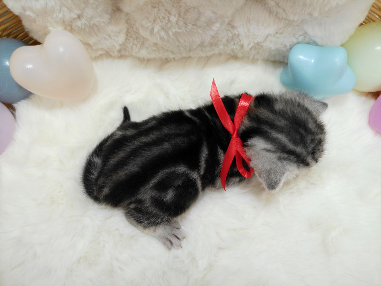 赤ちゃん写真1-3