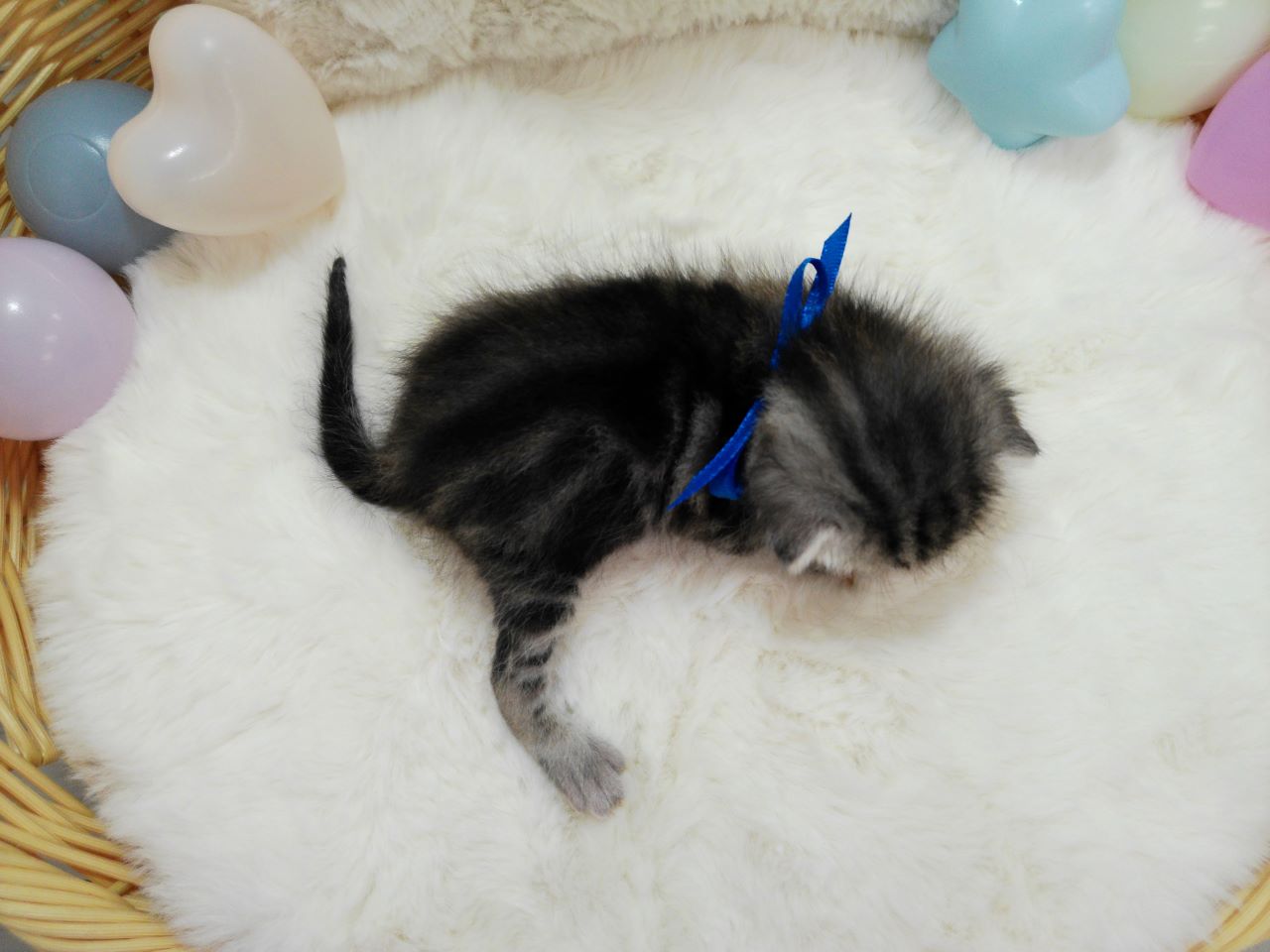 赤ちゃん写真1-3